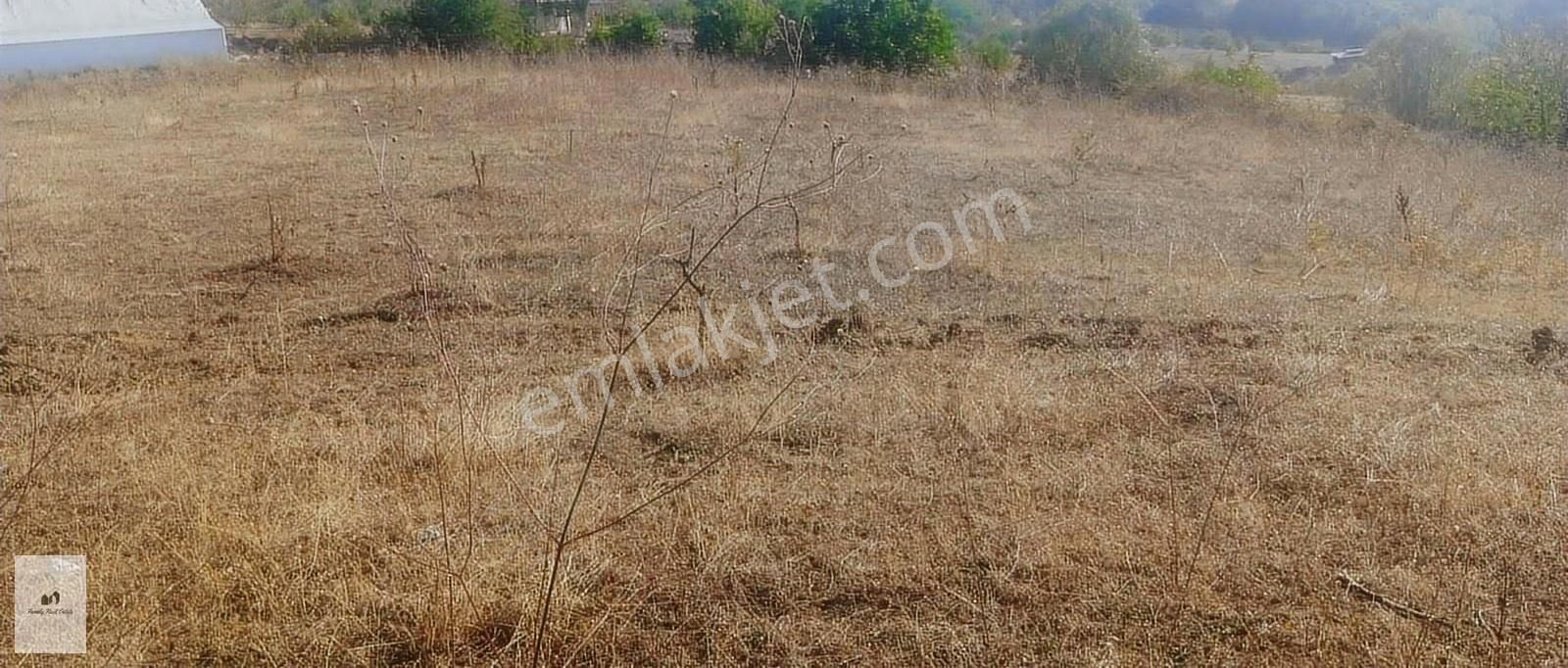 Bursa İnegöl Doğanyurdu Konum Ve Lokasyonu Mükemmel Bahçe