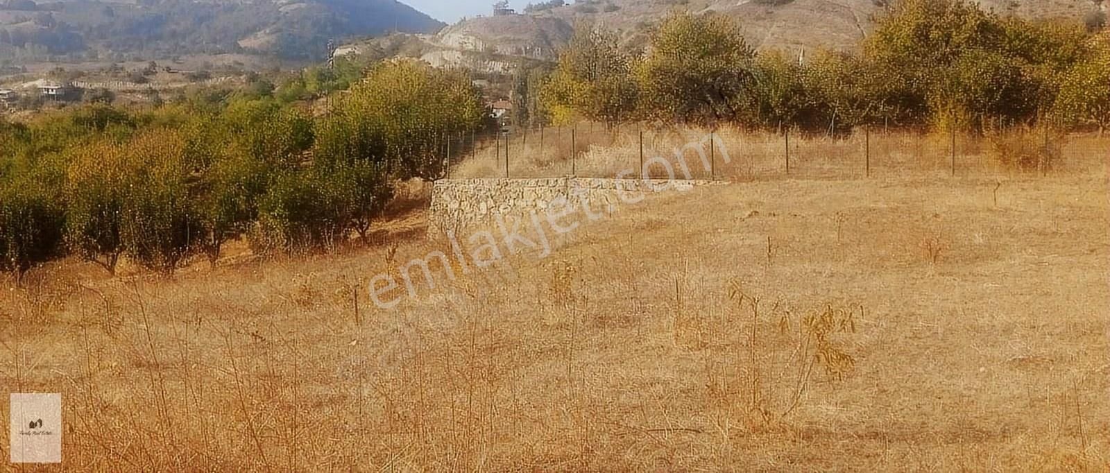 Bursa İnegöl Doğanyurdu Konum Ve Lokasyonu Mükemmel Bahçe - Görsel 6