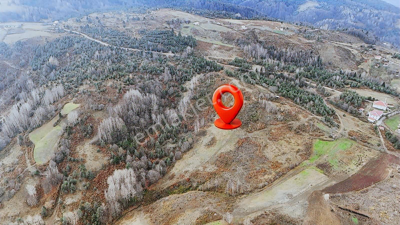 Ruşen Aydın Gyd'dan Kaynaşlı Yeniyurt Köyünde Satılık Arsalar - Görsel 6