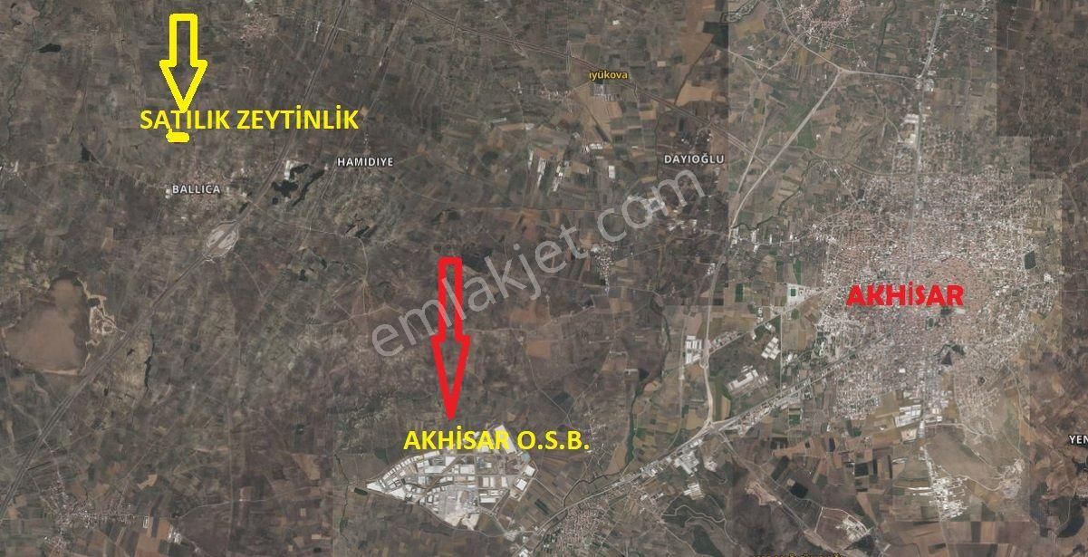 Akhisar Ballıca Mah. Satılık Zeytinlik (emin'den) - Görsel 4