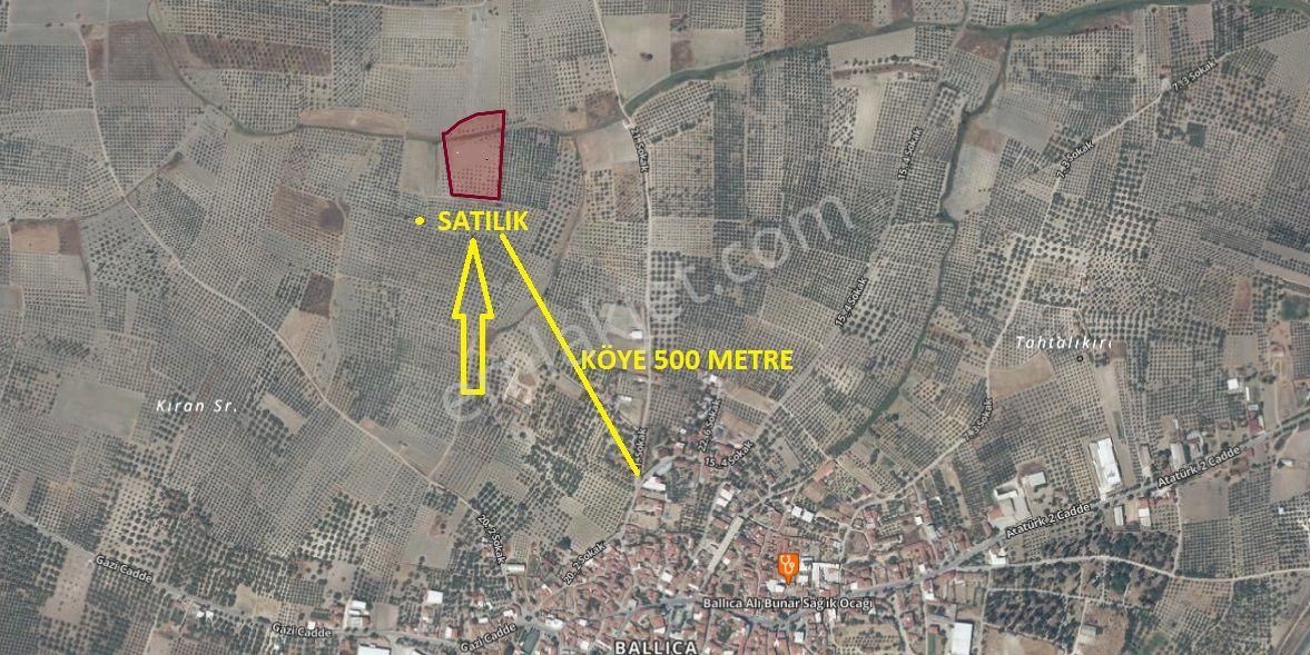 Akhisar Ballıca Mah. Satılık Zeytinlik (emin'den) - Görsel 2