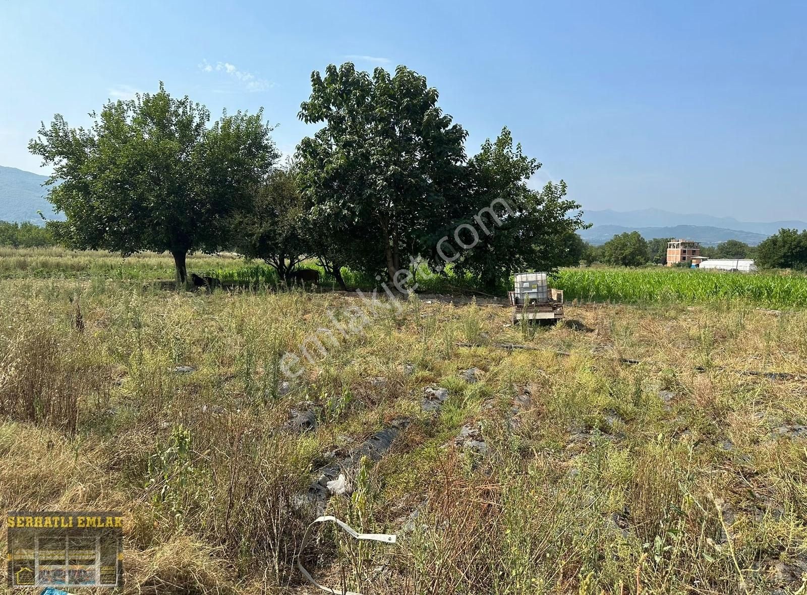 Serhatlı'dan Kurşunlu'da Sanayi İmarında Asfalta Cephe Değerli - Görsel 7