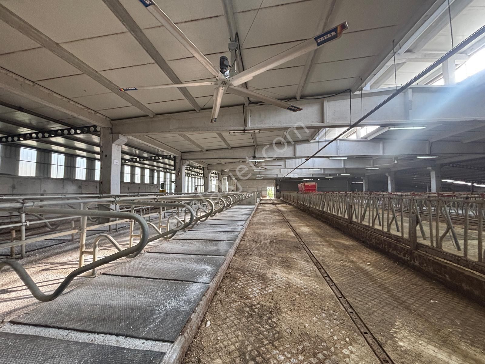 Cb King'den Yeniköy Mahallesi Tam Ekipmanlı Satılık Çiftlik - Görsel 9