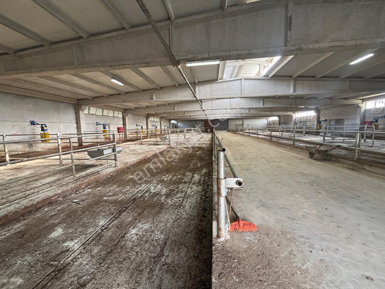 Cb King'den Yeniköy Mahallesi Tam Ekipmanlı Satılık Çiftlik - Görsel 3