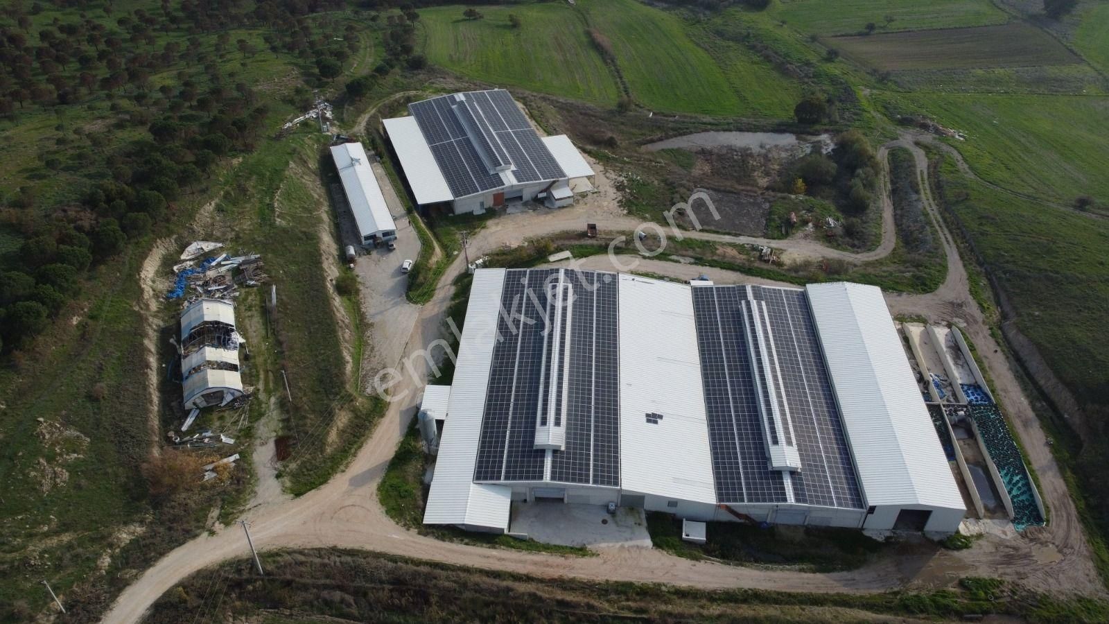 Cb King'den Yeniköy Mahallesi Tam Ekipmanlı Satılık Çiftlik