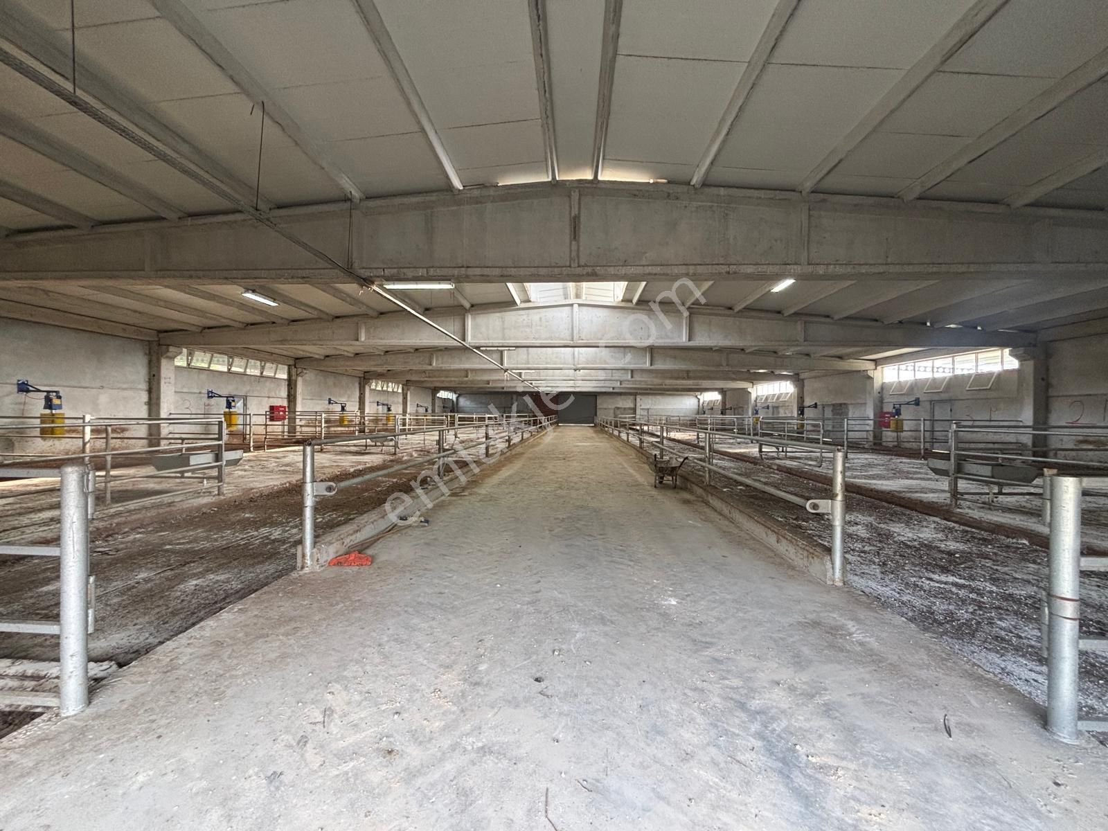 Cb King'den Yeniköy Mahallesi Tam Ekipmanlı Satılık Çiftlik - Görsel 6