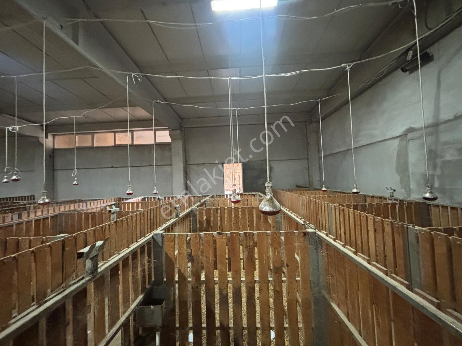 Cb King'den Yeniköy Mahallesi Tam Ekipmanlı Satılık Çiftlik - Görsel 12