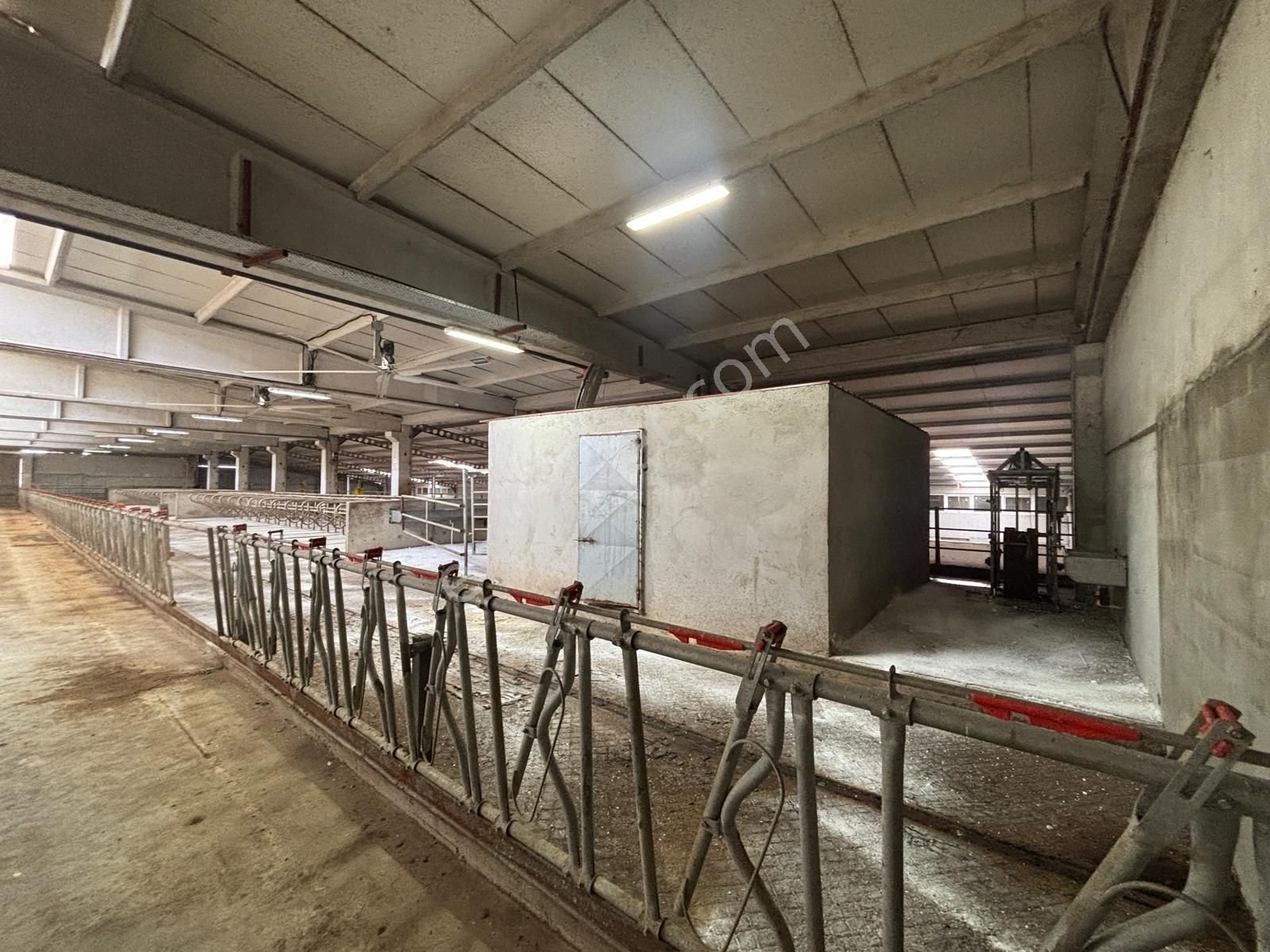 Cb King'den Yeniköy Mahallesi Tam Ekipmanlı Satılık Çiftlik - Görsel 5