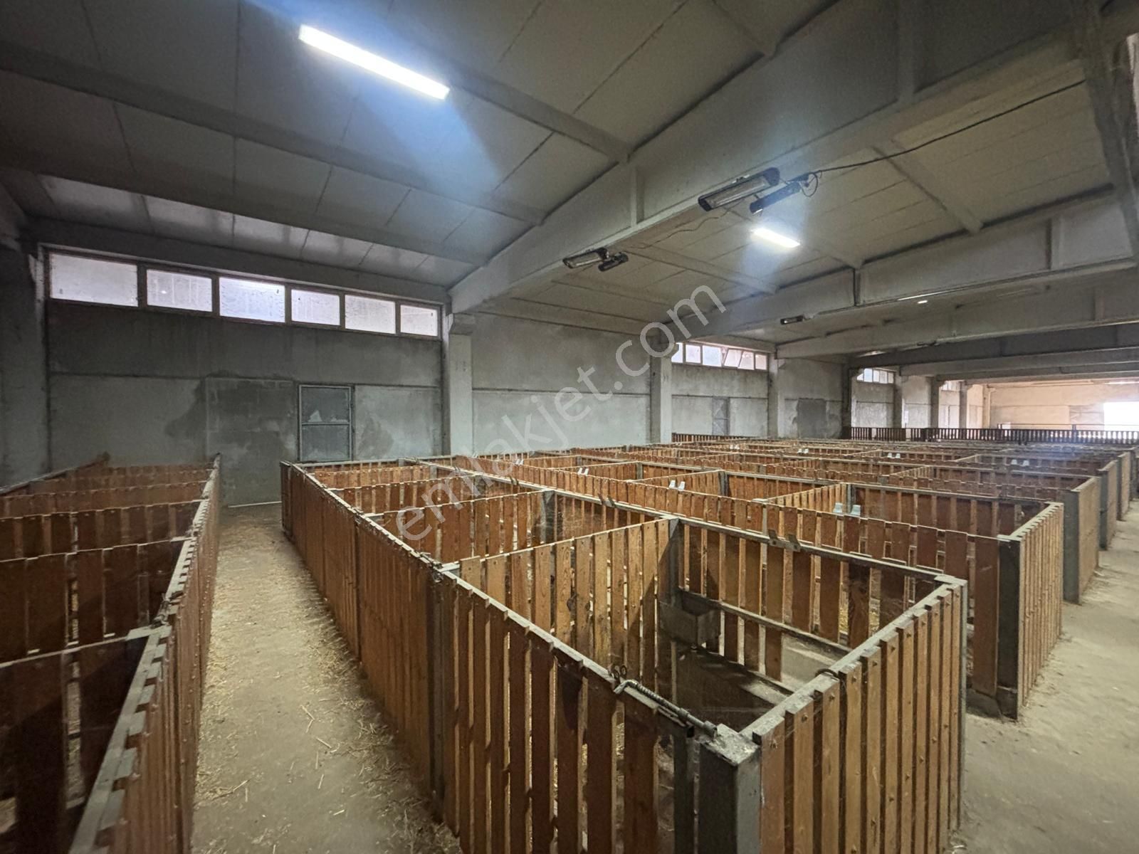 Cb King'den Yeniköy Mahallesi Tam Ekipmanlı Satılık Çiftlik - Görsel 13