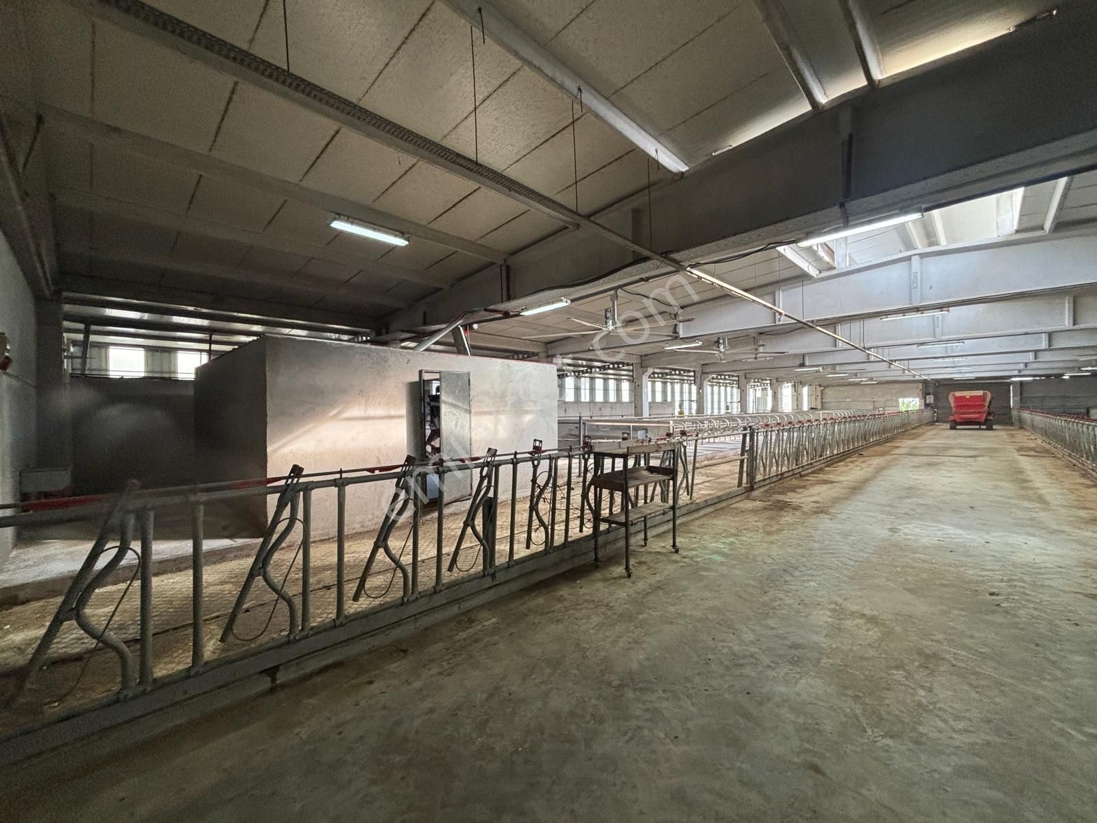 Cb King'den Yeniköy Mahallesi Tam Ekipmanlı Satılık Çiftlik - Görsel 2