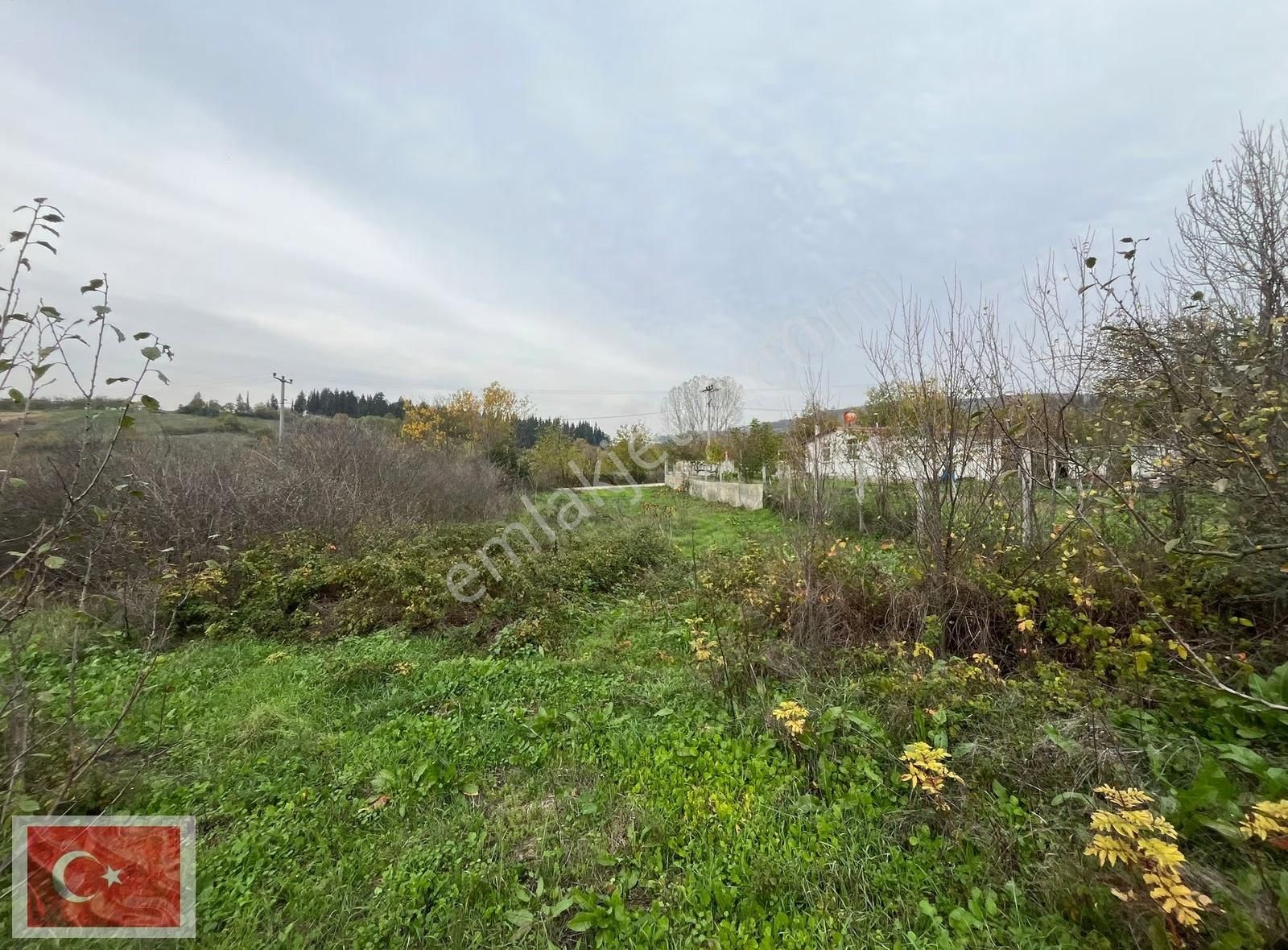 Yola Cepheli 519m2 Elektrik Su Mevcut Yatırımlık Arsa Fırsat!!! - Görsel 27