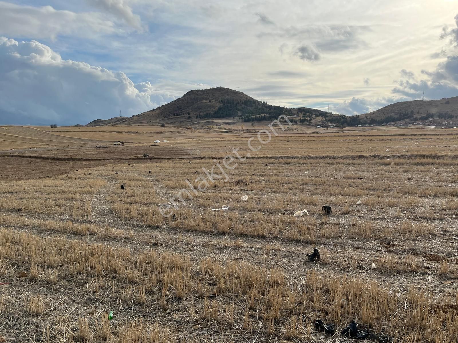 Kızılca Sanayi Parseli Tek Tapu Müstakil - Görsel 32