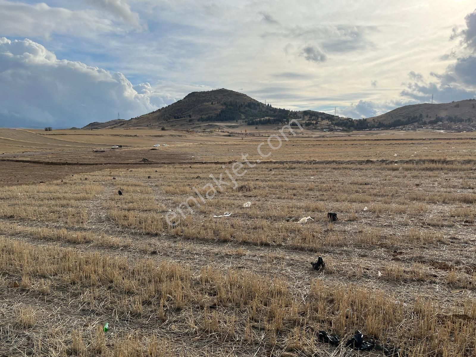 Kızılca Sanayi Parseli Tek Tapu Müstakil - Görsel 33