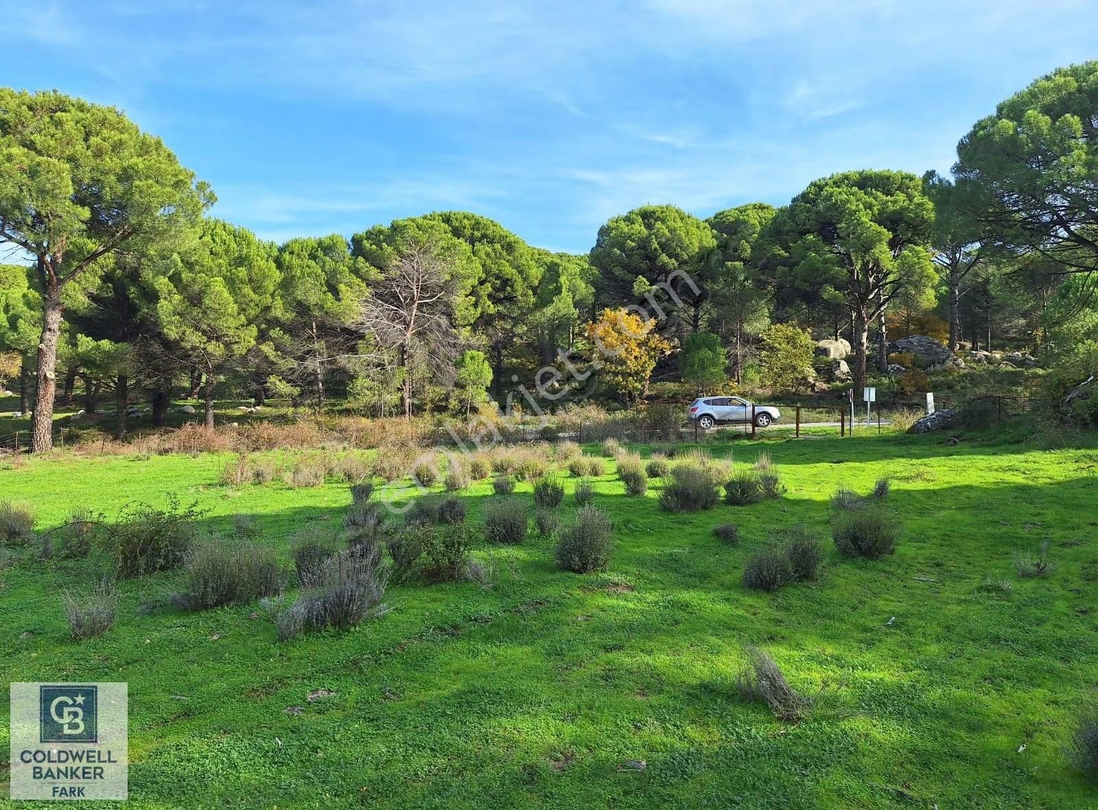 Ayvalık Bağyüzü'nde 8003 M² Tarım İmarlı Yatırımlık Arazi