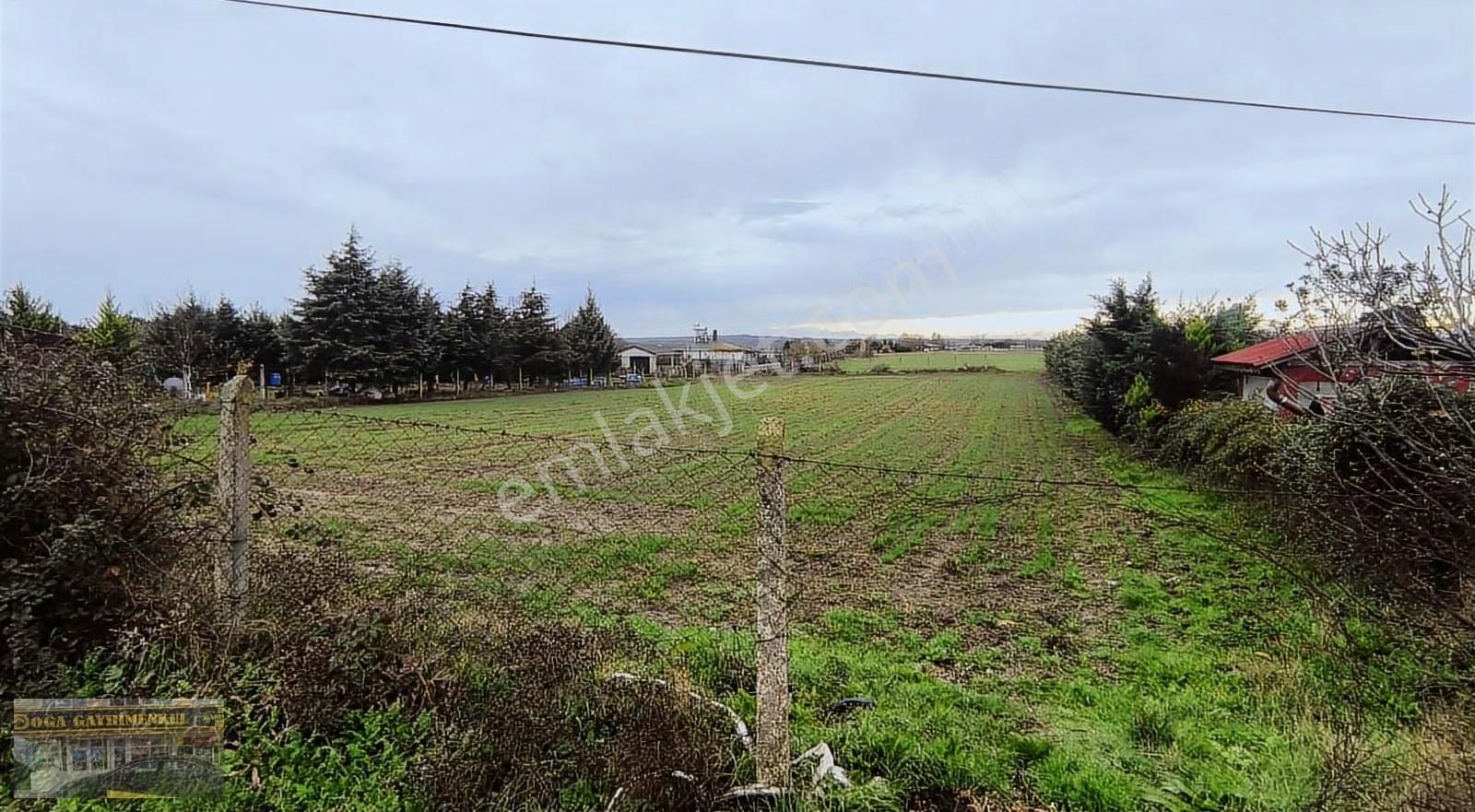 Hallaçlı Satılık 1196m² Arsa - Görsel 4