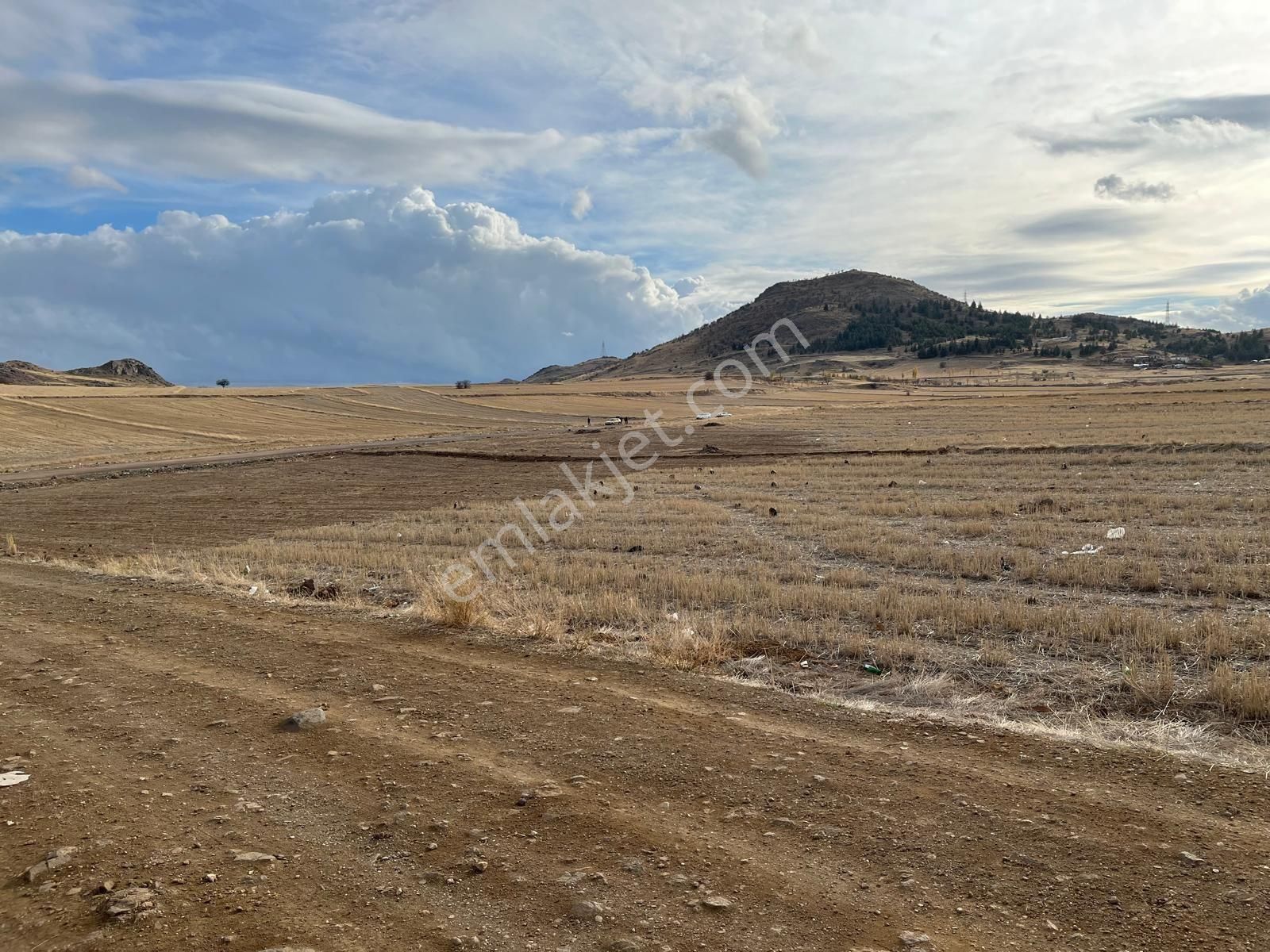 Karapürçek Devlet Hastanesi Arkasında Kızılca Parseli 900m2 Parçalı Verilir - Görsel 7