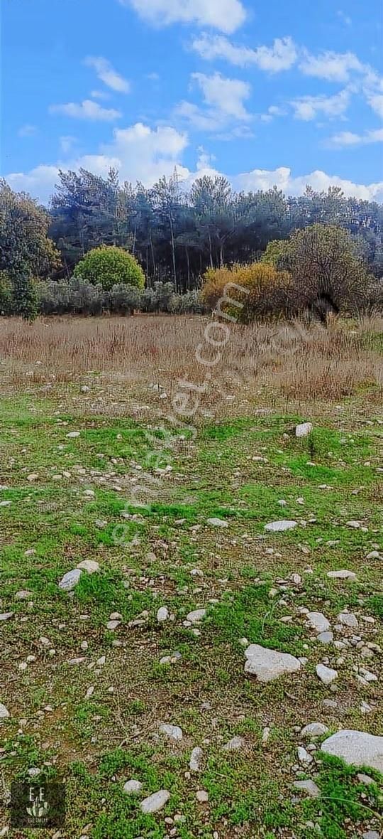 Gökova Karabörtlende Fırsat Tarla