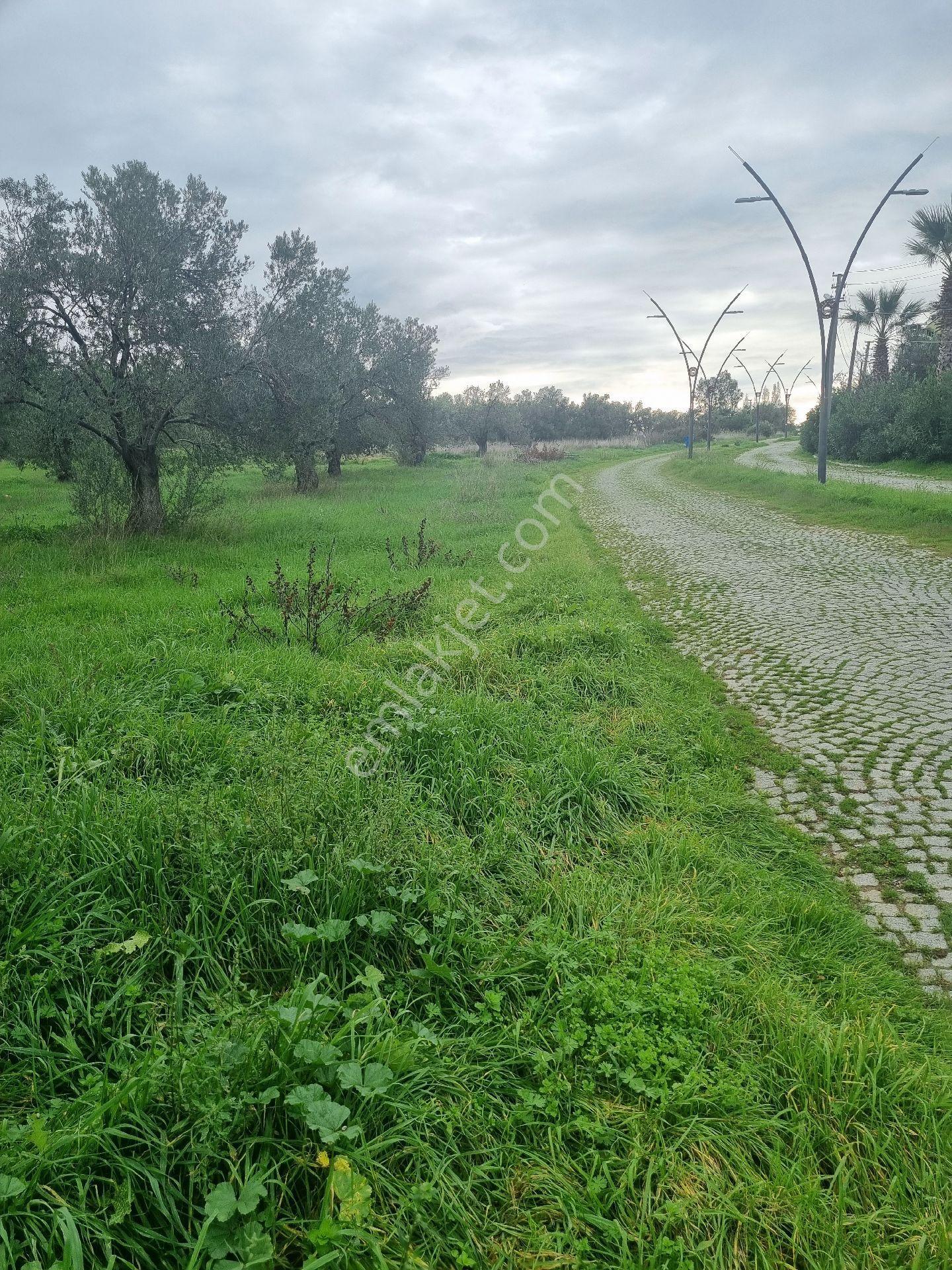 Premar Ayvada'dan Gömeç Karaağaç Sahil'de Villa İmarlı Arsalar - Görsel 2