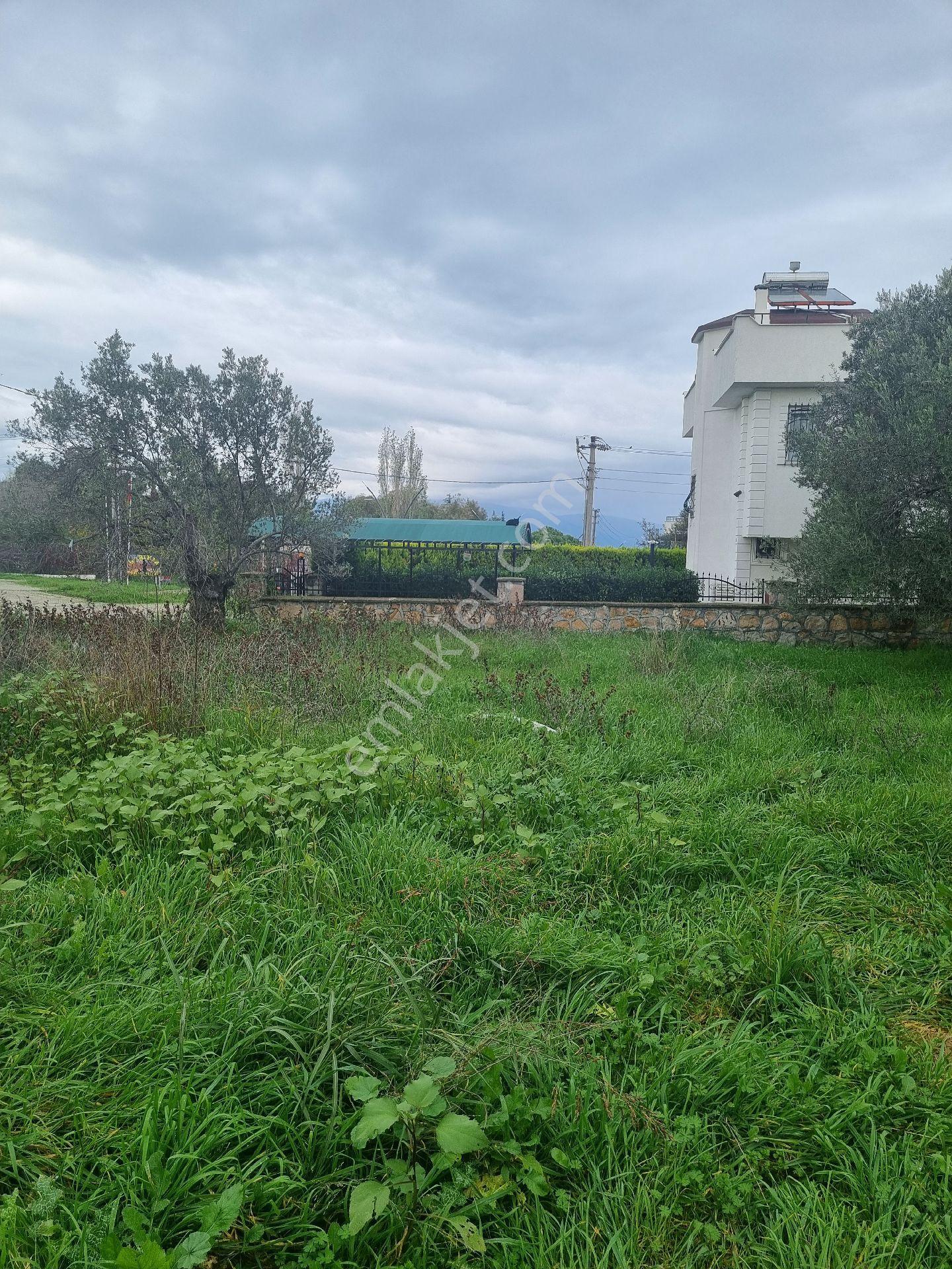 Premar Ayvada'dan Gömeç Karaağaç Sahil'de Villa İmarlı Arsalar - Görsel 10