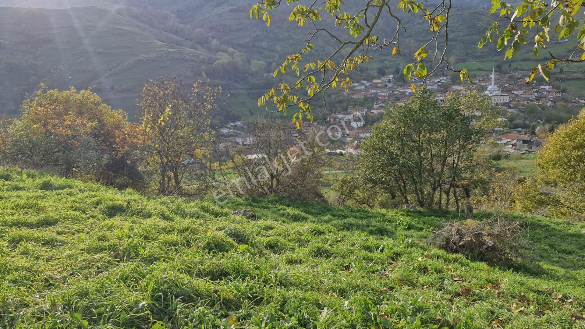 Kocaeli Karamürsel Kızderbent Satılık %5 İmarlı 2638 M2 Tarla - Görsel 22