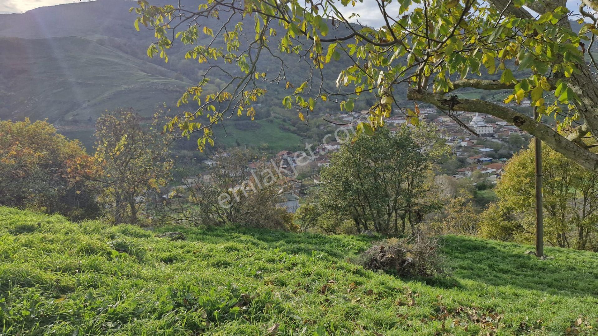 Kocaeli Karamürsel Kızderbent Satılık %5 İmarlı 2638 M2 Tarla - Görsel 6