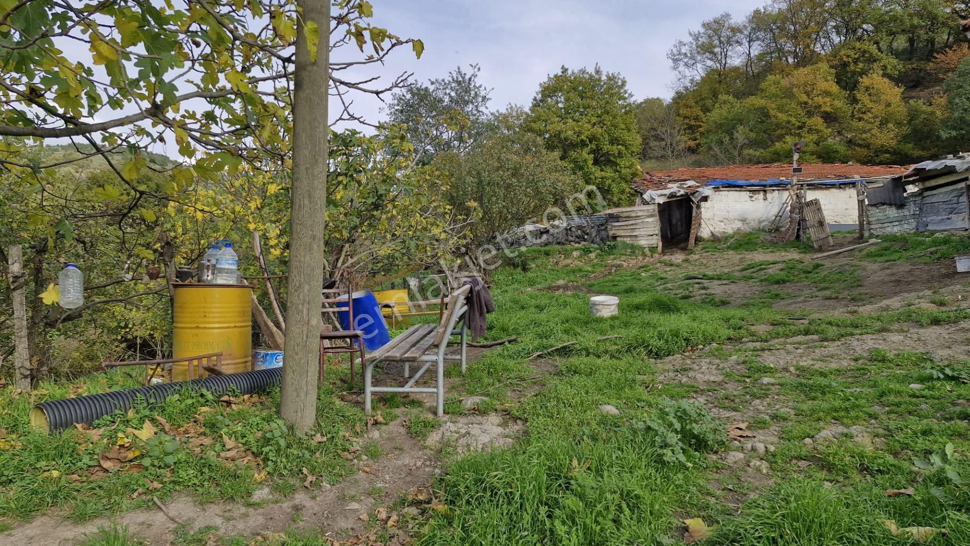 Kocaeli Karamürsel Kızderbent Satılık %5 İmarlı 2638 M2 Tarla - Görsel 19