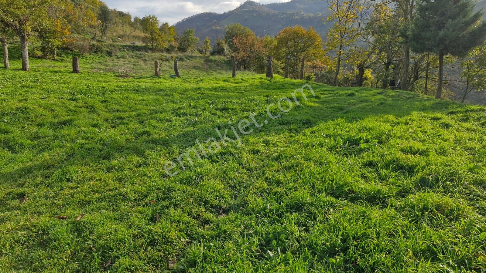 Kocaeli Karamürsel Kızderbent Satılık %5 İmarlı 2638 M2 Tarla - Görsel 21