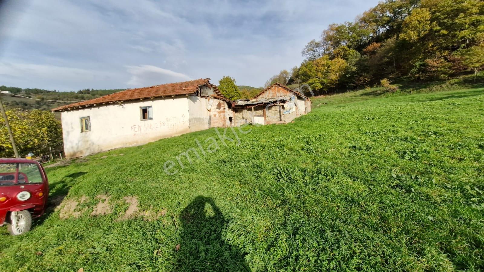 Kocaeli Karamürsel Kızderbent Satılık %5 İmarlı 2638 M2 Tarla - Görsel 4