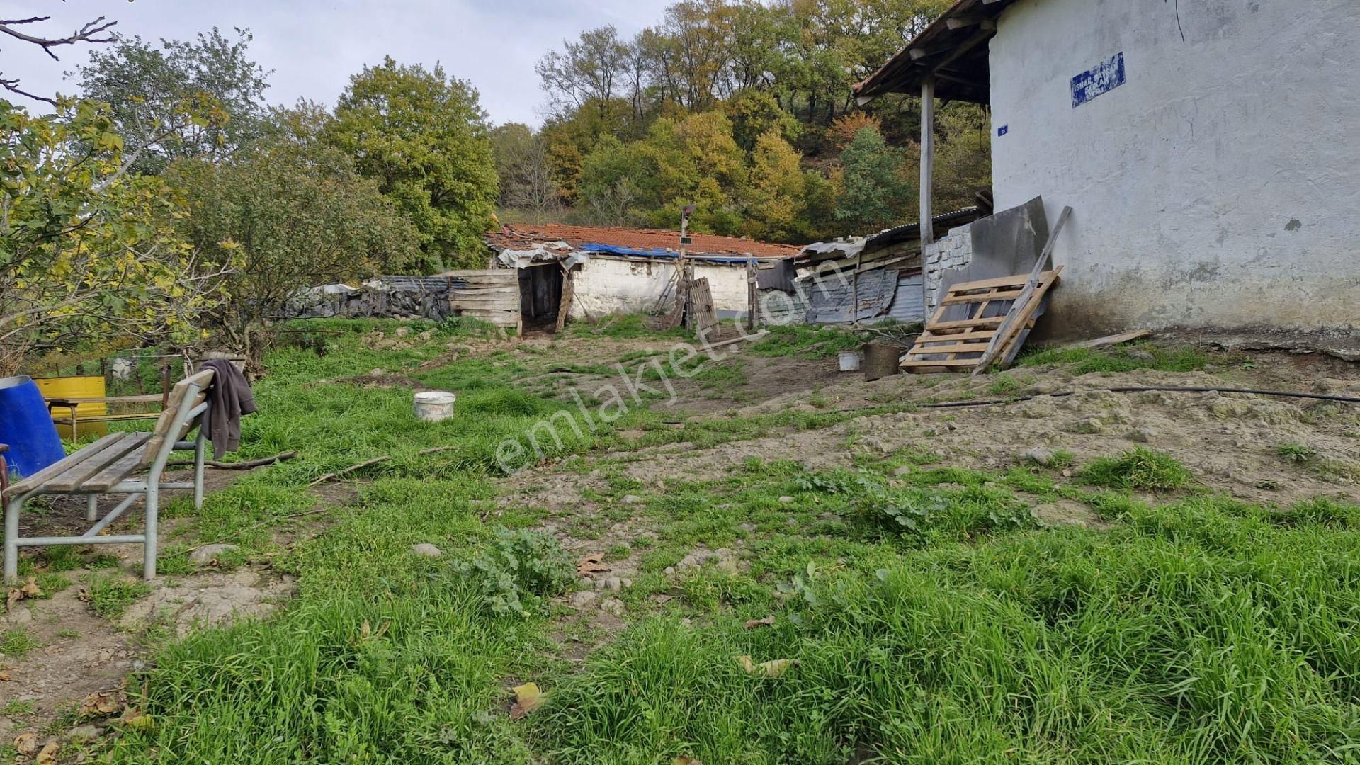 Kocaeli Karamürsel Kızderbent Satılık %5 İmarlı 2638 M2 Tarla - Görsel 9