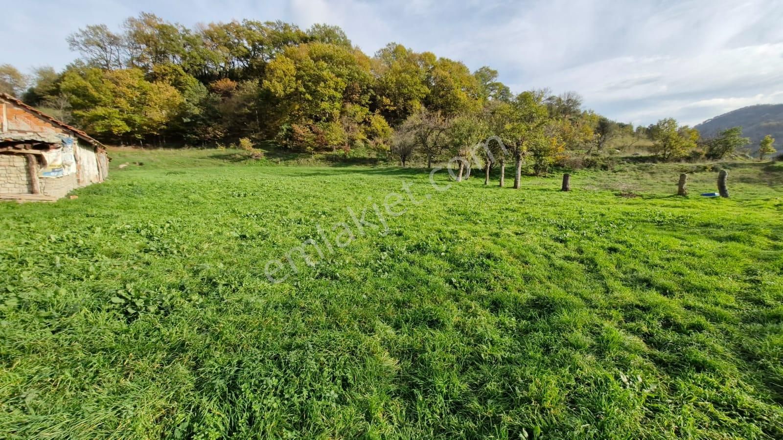 Kocaeli Karamürsel Kızderbent Satılık %5 İmarlı 2638 M2 Tarla - Görsel 23