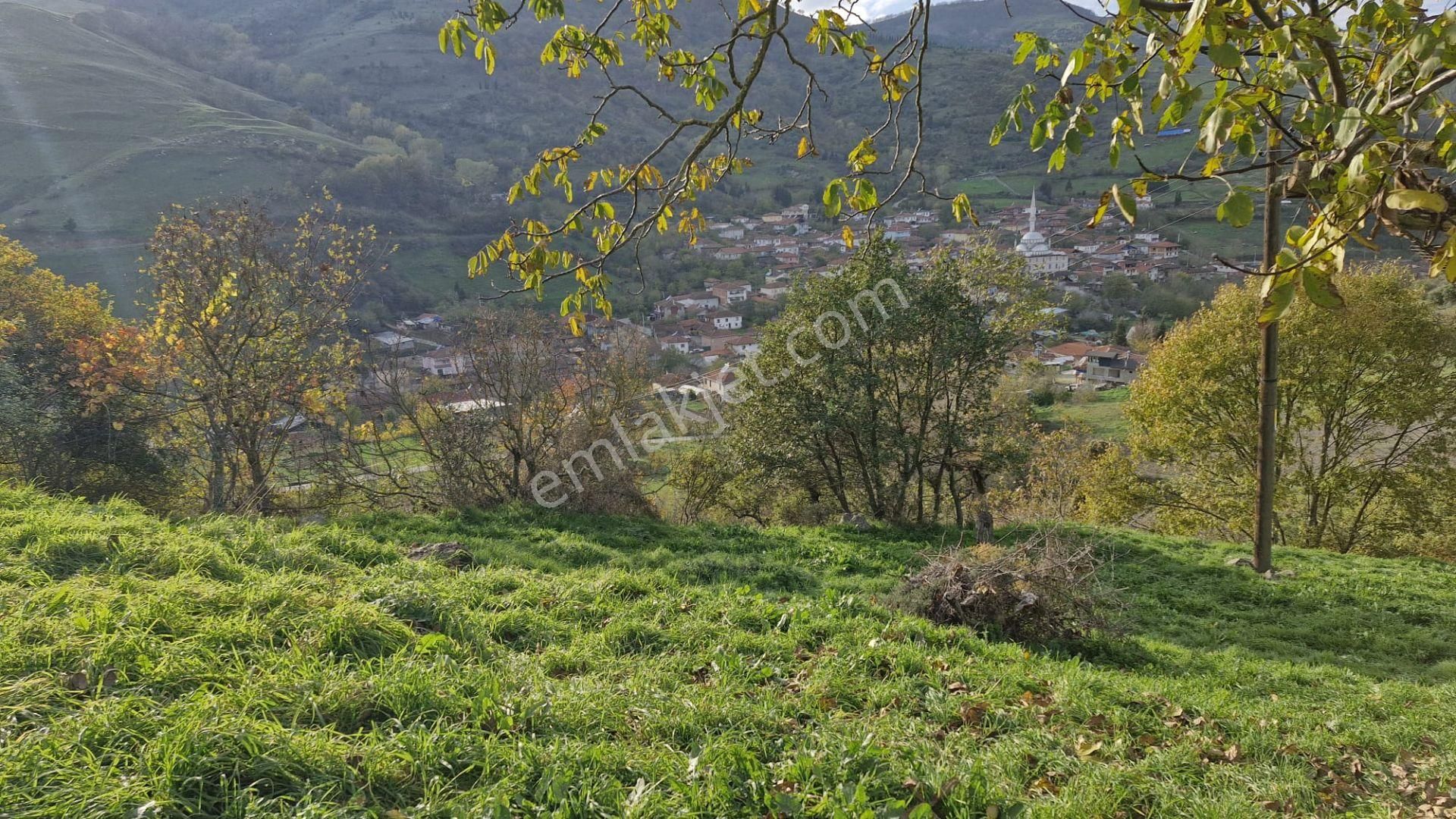 Kocaeli Karamürsel Kızderbent Satılık %5 İmarlı 2638 M2 Tarla - Görsel 5