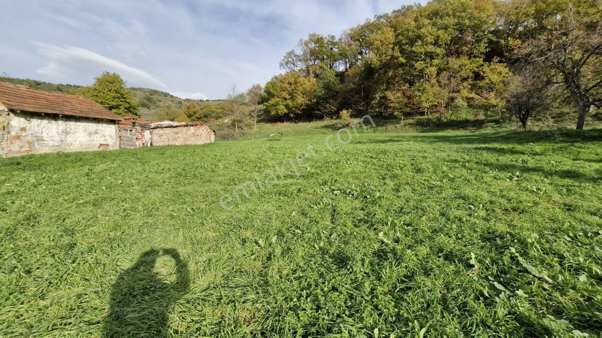 Kocaeli Karamürsel Kızderbent Satılık %5 İmarlı 2638 M2 Tarla - Görsel 3