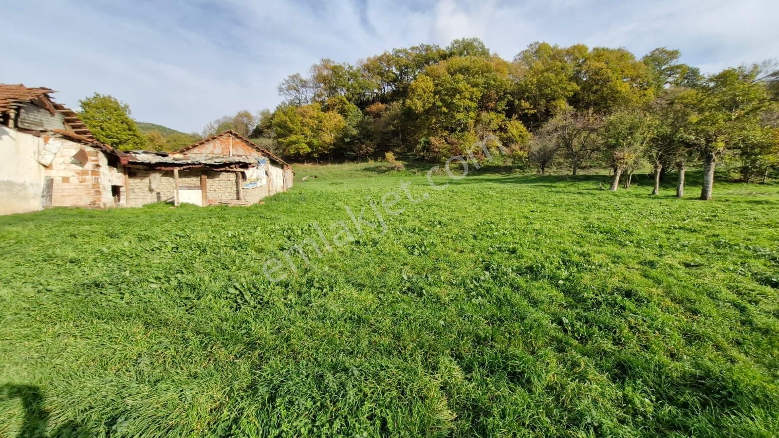 Kocaeli Karamürsel Kızderbent Satılık %5 İmarlı 2638 M2 Tarla - Görsel 26