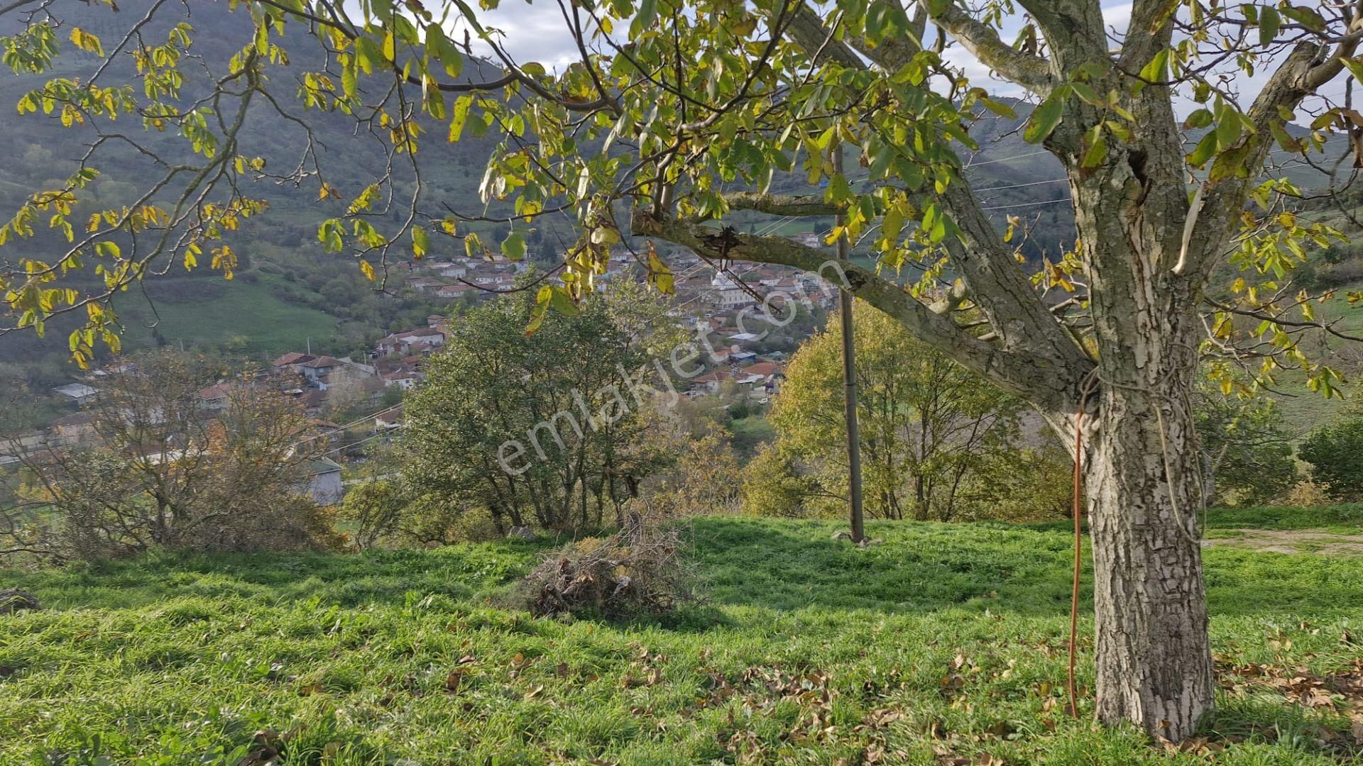 Kocaeli Karamürsel Kızderbent Satılık %5 İmarlı 2638 M2 Tarla - Görsel 8