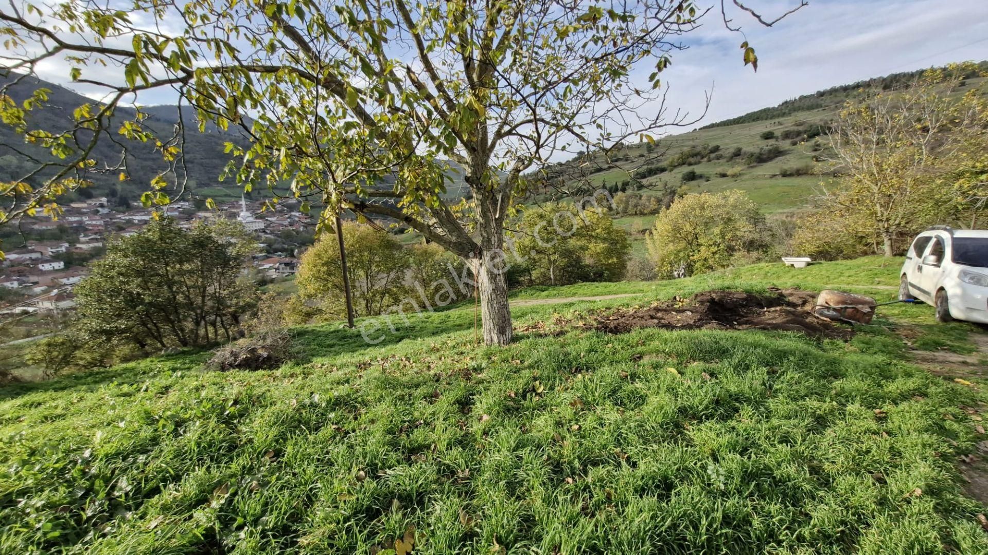 Kocaeli Karamürsel Kızderbent Satılık %5 İmarlı 2638 M2 Tarla - Görsel 2