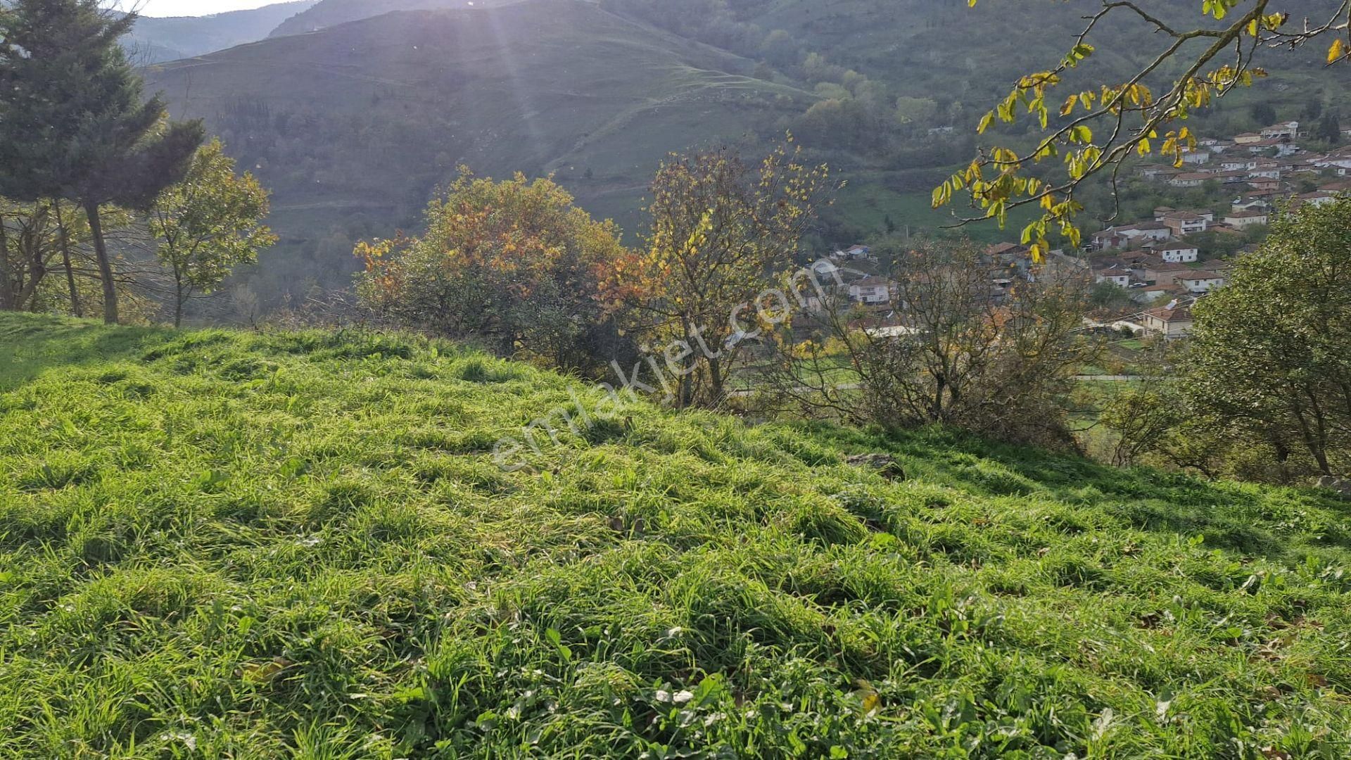 Kocaeli Karamürsel Kızderbent Satılık %5 İmarlı 2638 M2 Tarla - Görsel 13