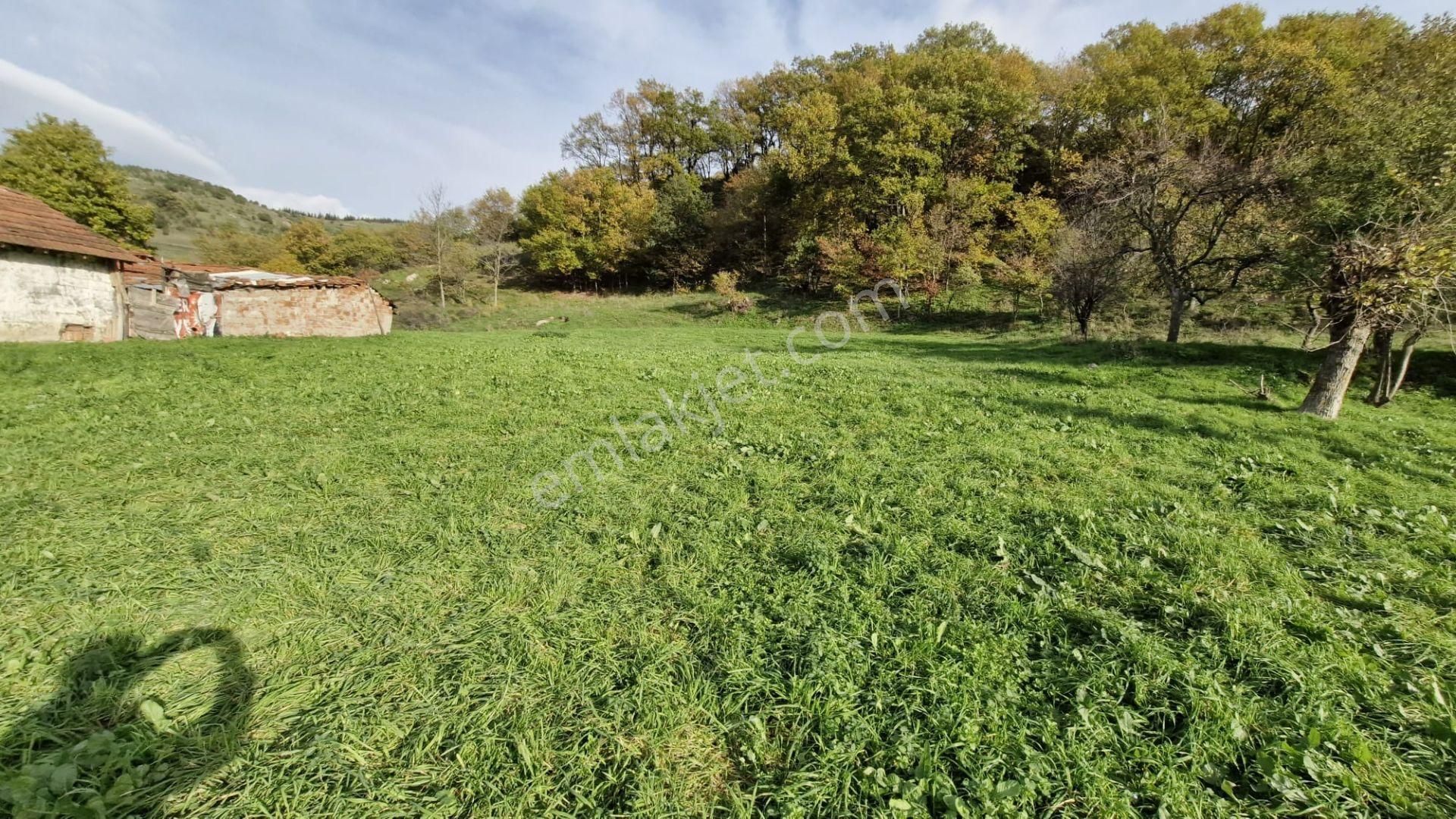 Kocaeli Karamürsel Kızderbent Satılık %5 İmarlı 2638 M2 Tarla - Görsel 30