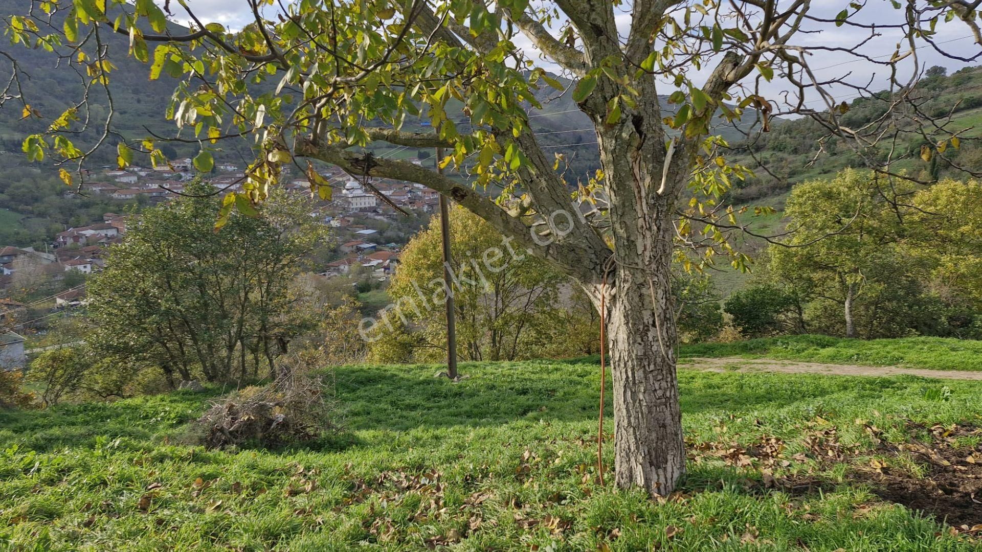 Kocaeli Karamürsel Kızderbent Satılık %5 İmarlı 2638 M2 Tarla - Görsel 10