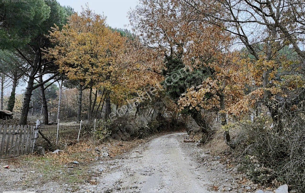 Kozak Yukarıbey’de İyi Konumda Büyük Parsel Arazi - Görsel 5