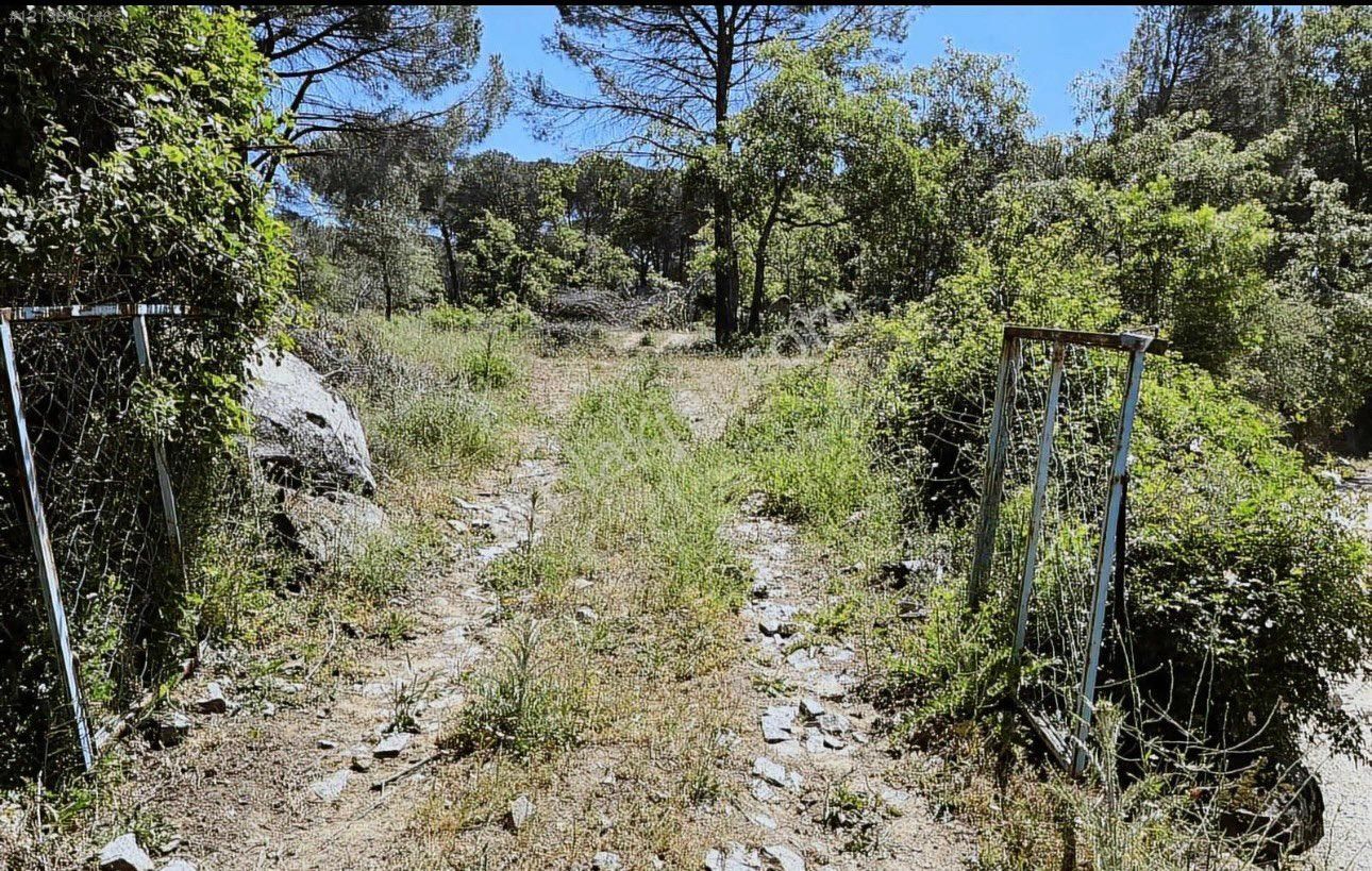 Kozak Yukarıbey’de İyi Konumda Büyük Parsel Arazi - Görsel 3