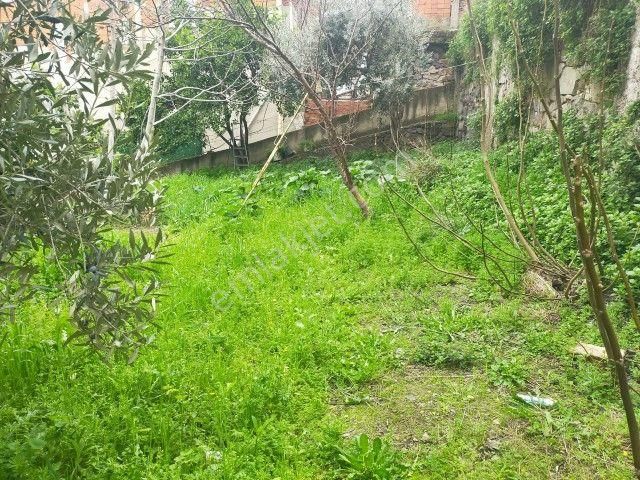 Bayraklıda 323 M2 Satılık Müstakil Ev - Görsel 7