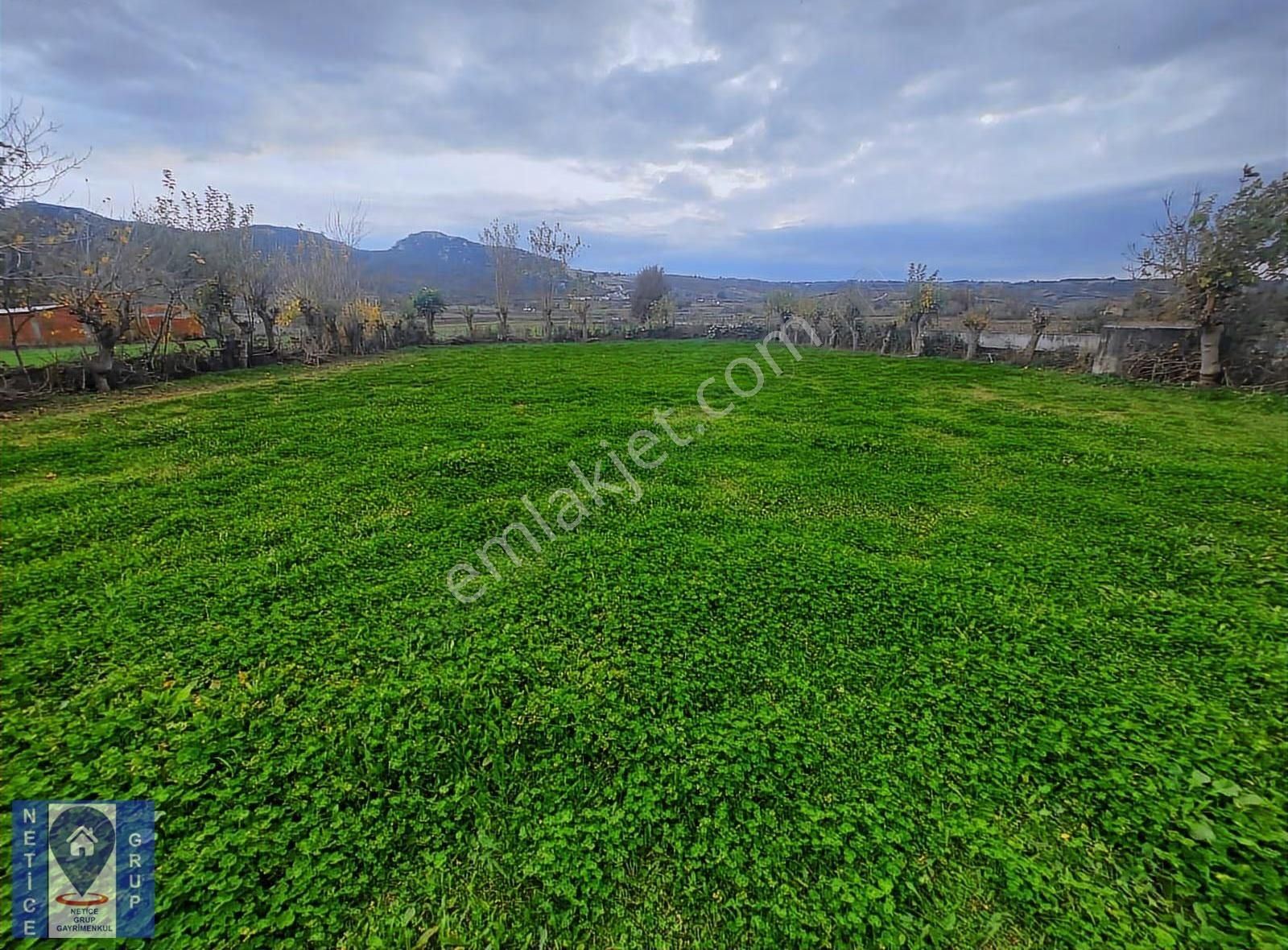 Bursa Üçbeylide 2200 M² Dev Bahçeli Köy Evi Fırsat Fiyatlı ! - Görsel 4