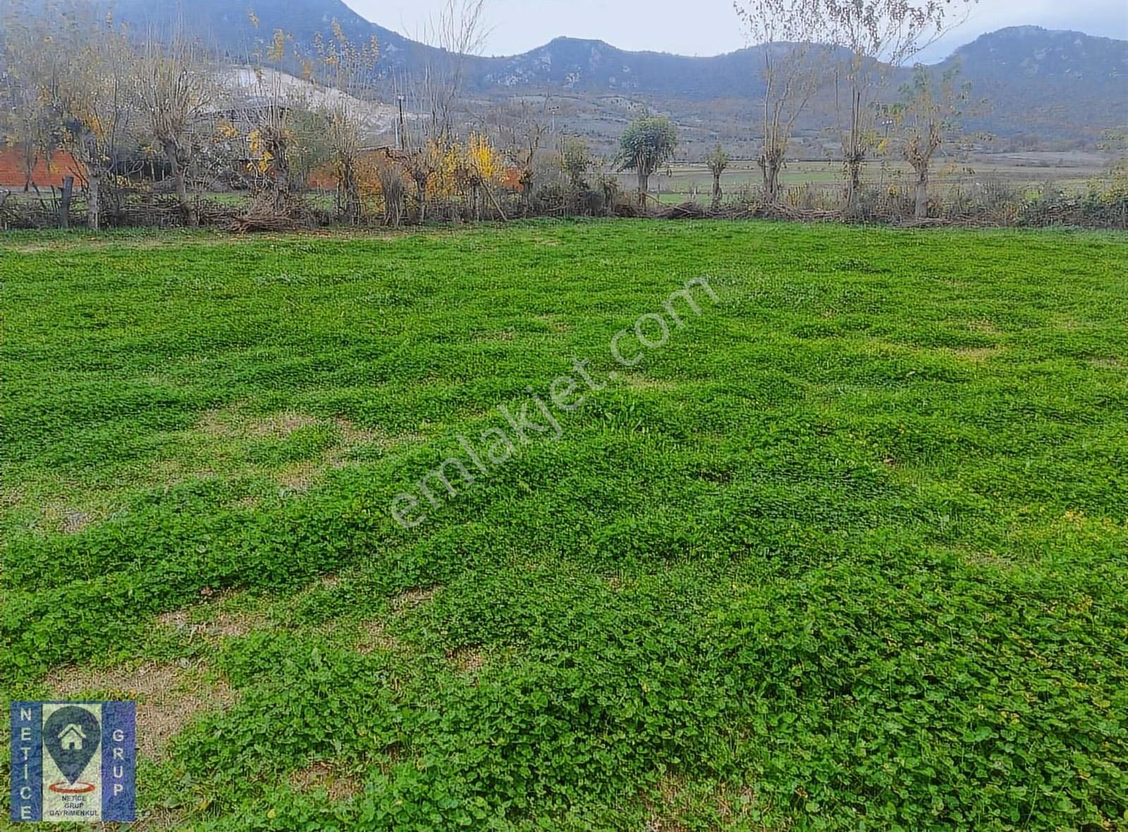 Bursa Üçbeylide 2200 M² Dev Bahçeli Köy Evi Fırsat Fiyatlı ! - Görsel 12