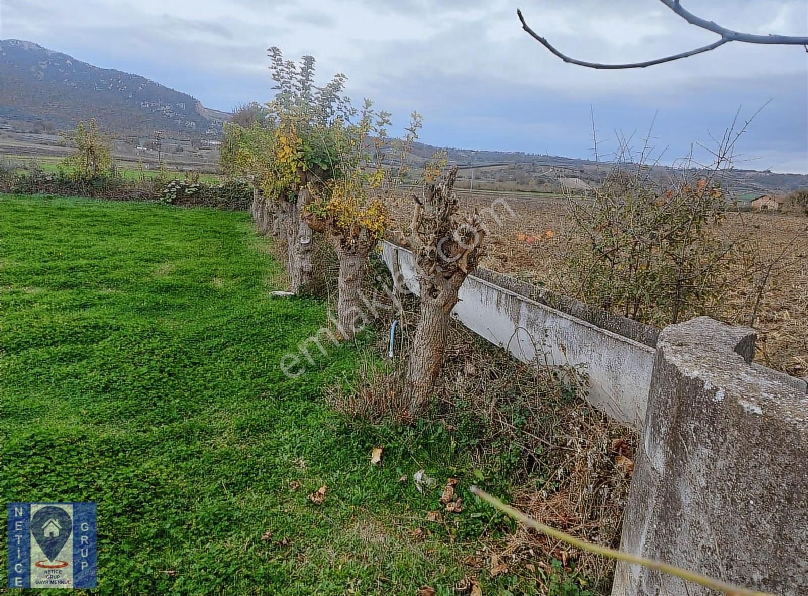 Bursa Üçbeylide 2200 M² Dev Bahçeli Köy Evi Fırsat Fiyatlı ! - Görsel 9