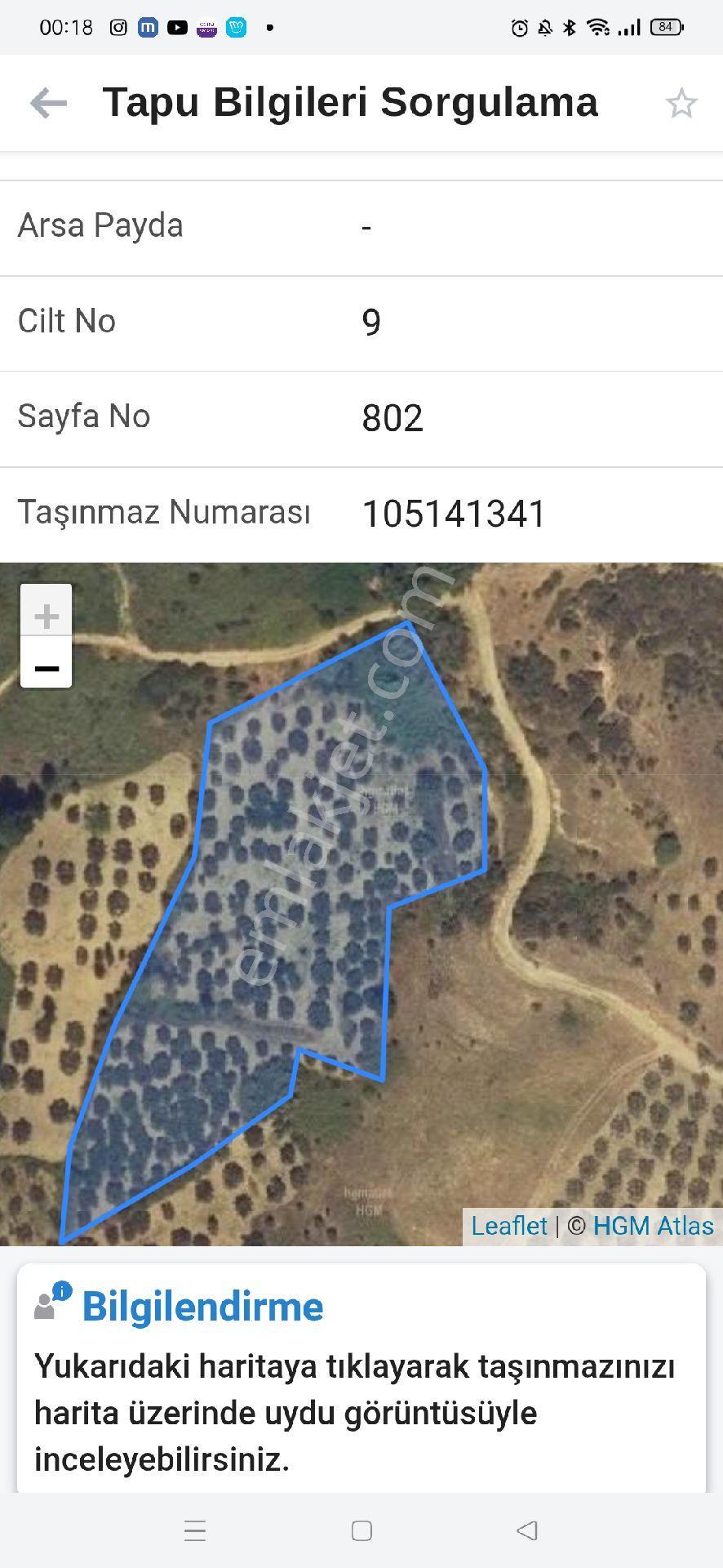 Şarköy Y.kalamış Mera Çeşmesi Mevkii Yaklaşık 9 Dönüm Zeytinlik Satılıktır