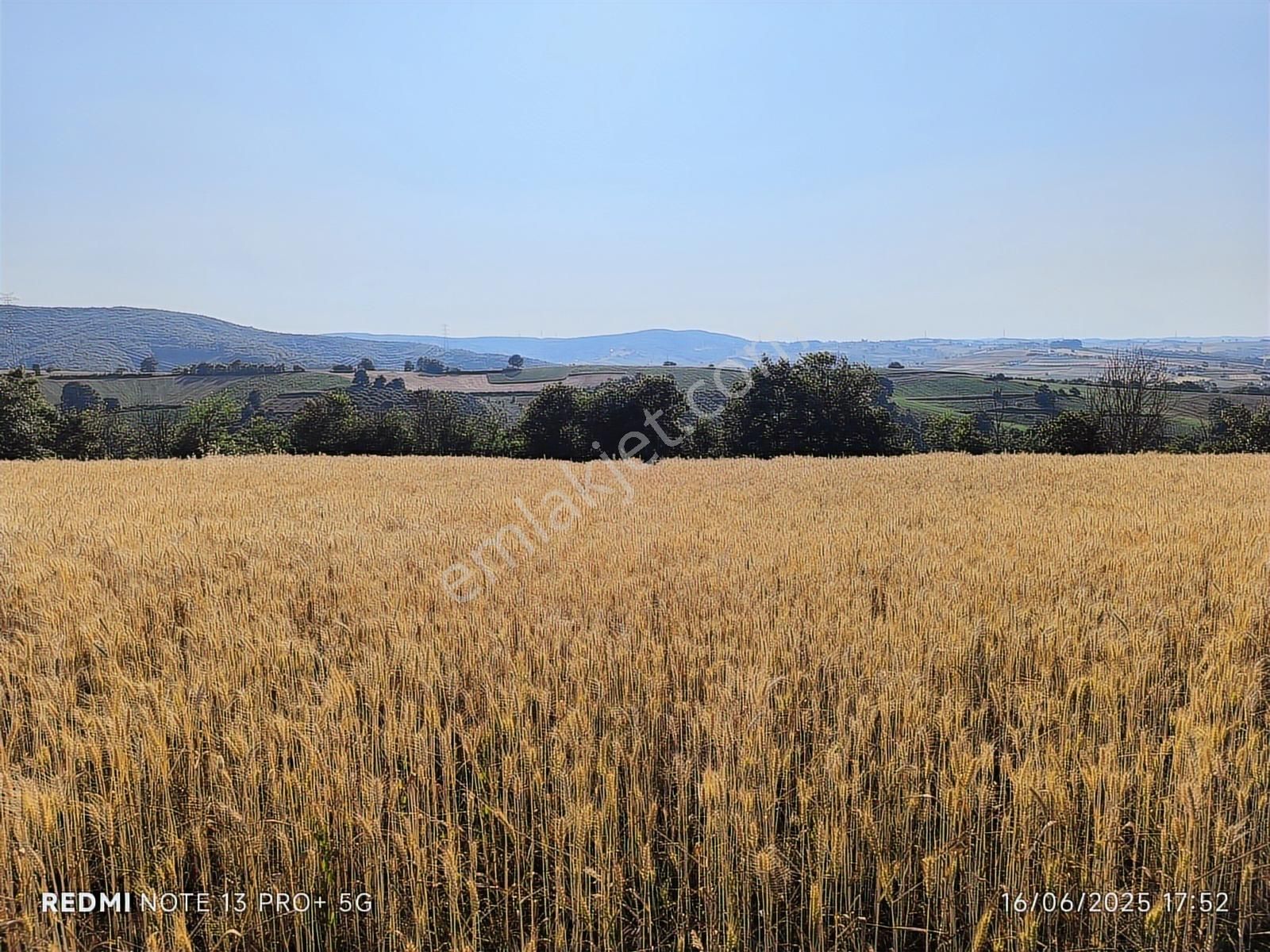 Baraj Manzaralı Tarla Sizi Bekliyor Kaçırılmaz Fırsat - Görsel 14
