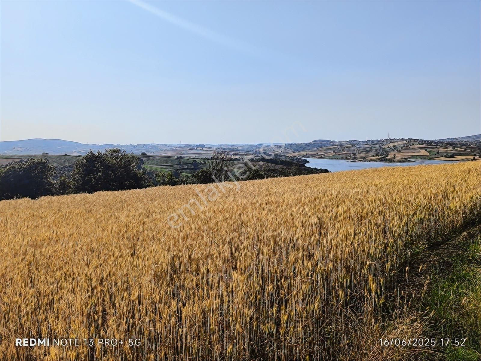 Baraj Manzaralı Tarla Sizi Bekliyor Kaçırılmaz Fırsat - Görsel 3