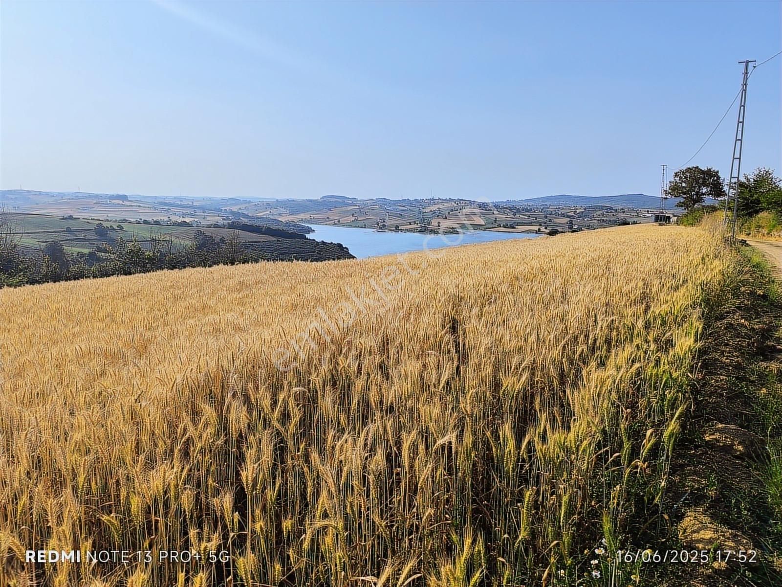 Baraj Manzaralı Tarla Sizi Bekliyor Kaçırılmaz Fırsat - Görsel 7