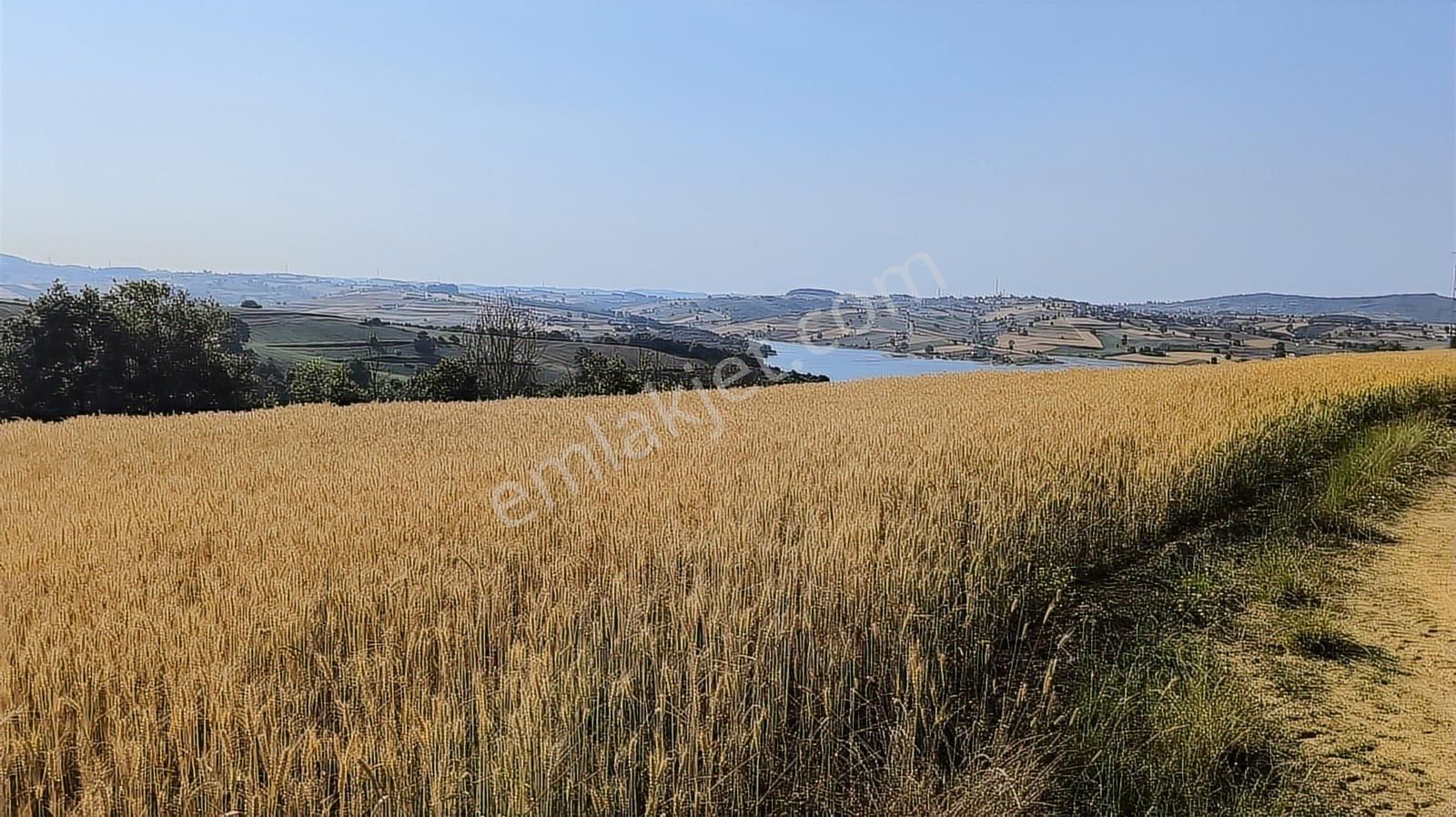 Baraj Manzaralı Tarla Sizi Bekliyor Kaçırılmaz Fırsat - Görsel 6