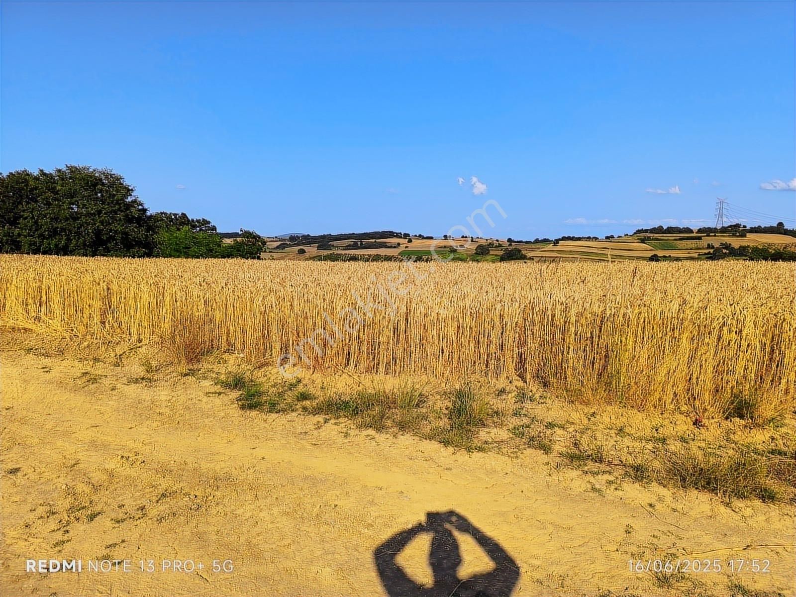 Baraj Manzaralı Tarla Sizi Bekliyor Kaçırılmaz Fırsat - Görsel 15